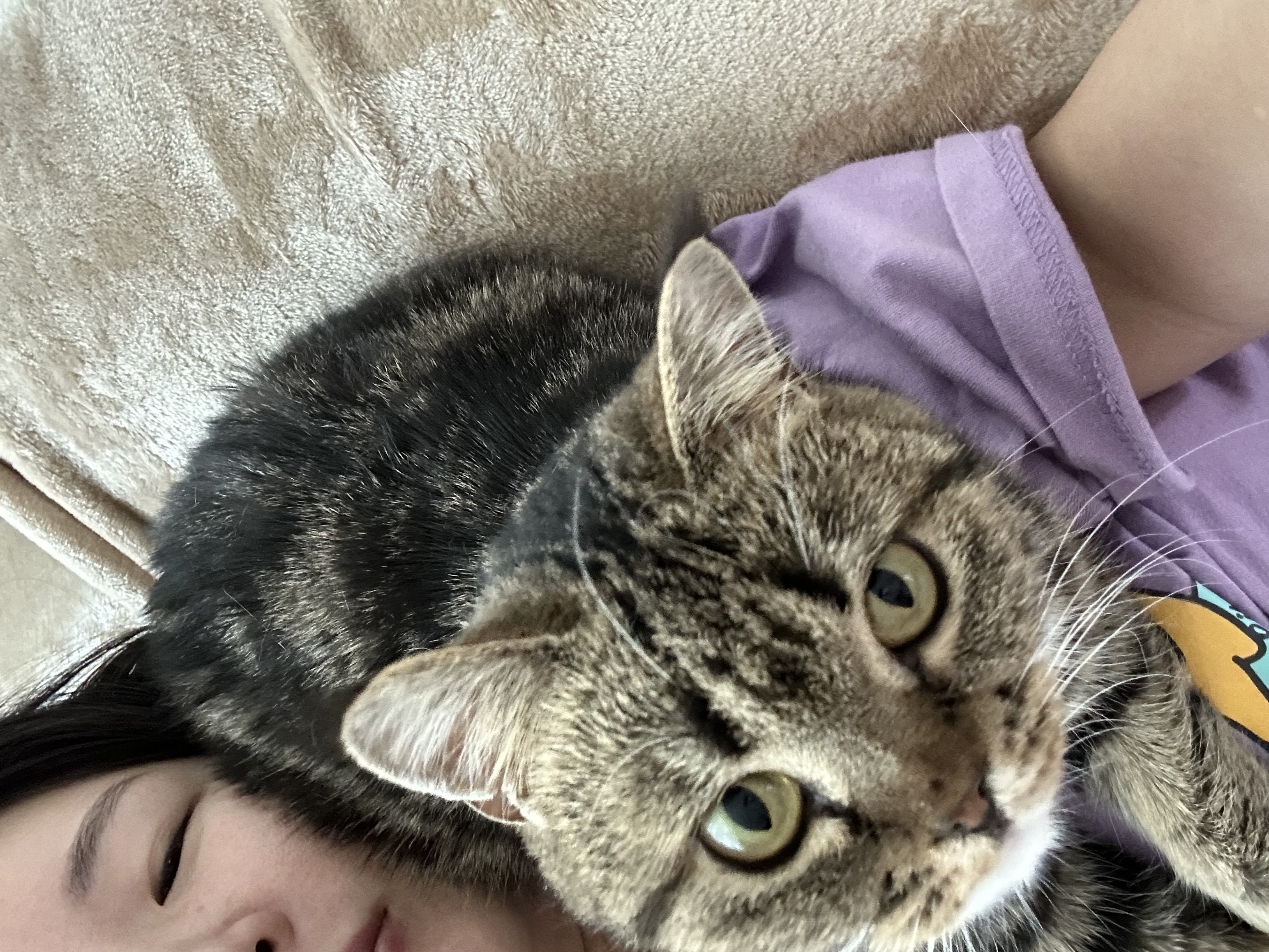 세젤귀 요미(구.아슬) 3개월 후기