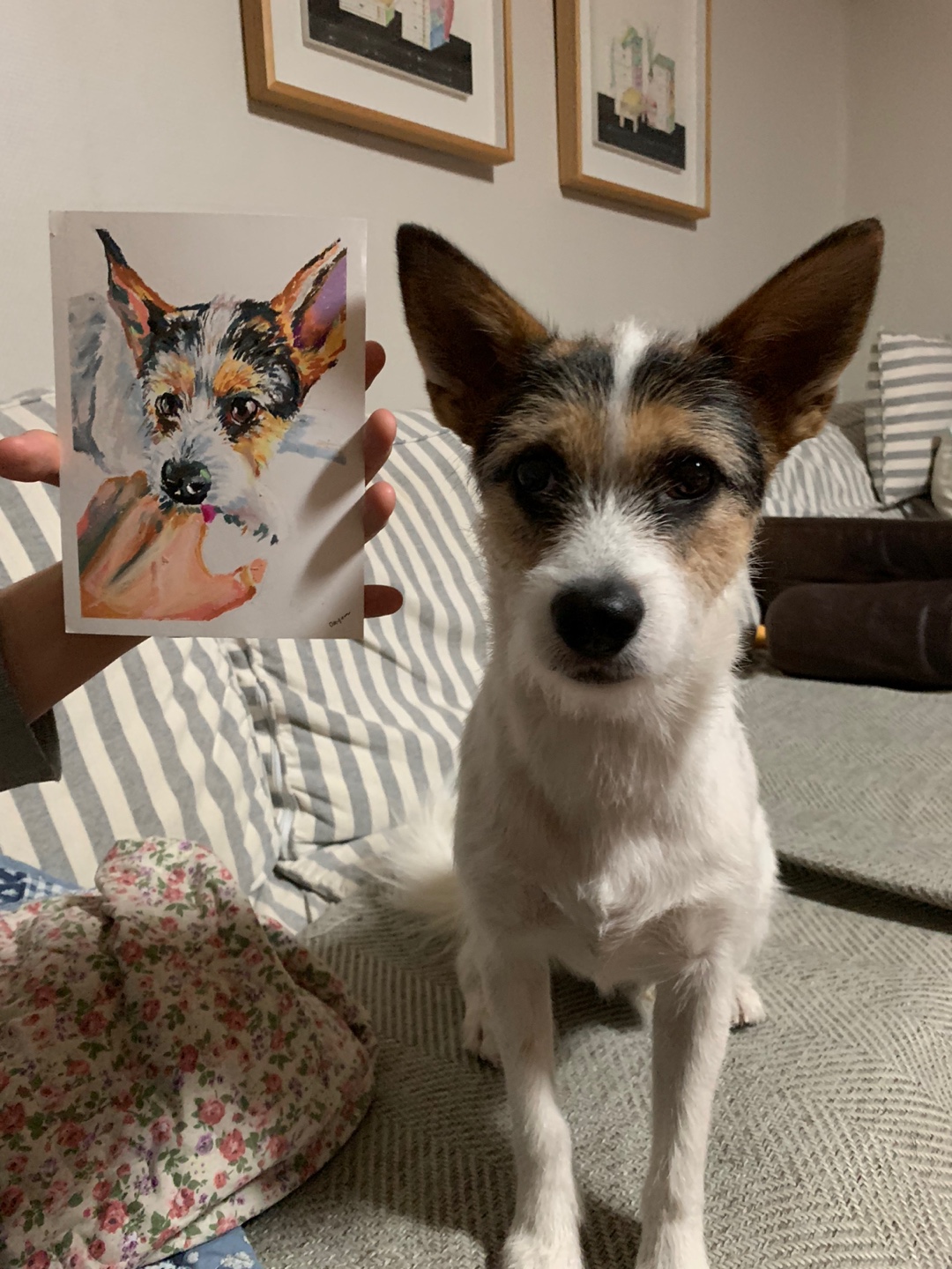 마네(빈스) 입양후 이야기