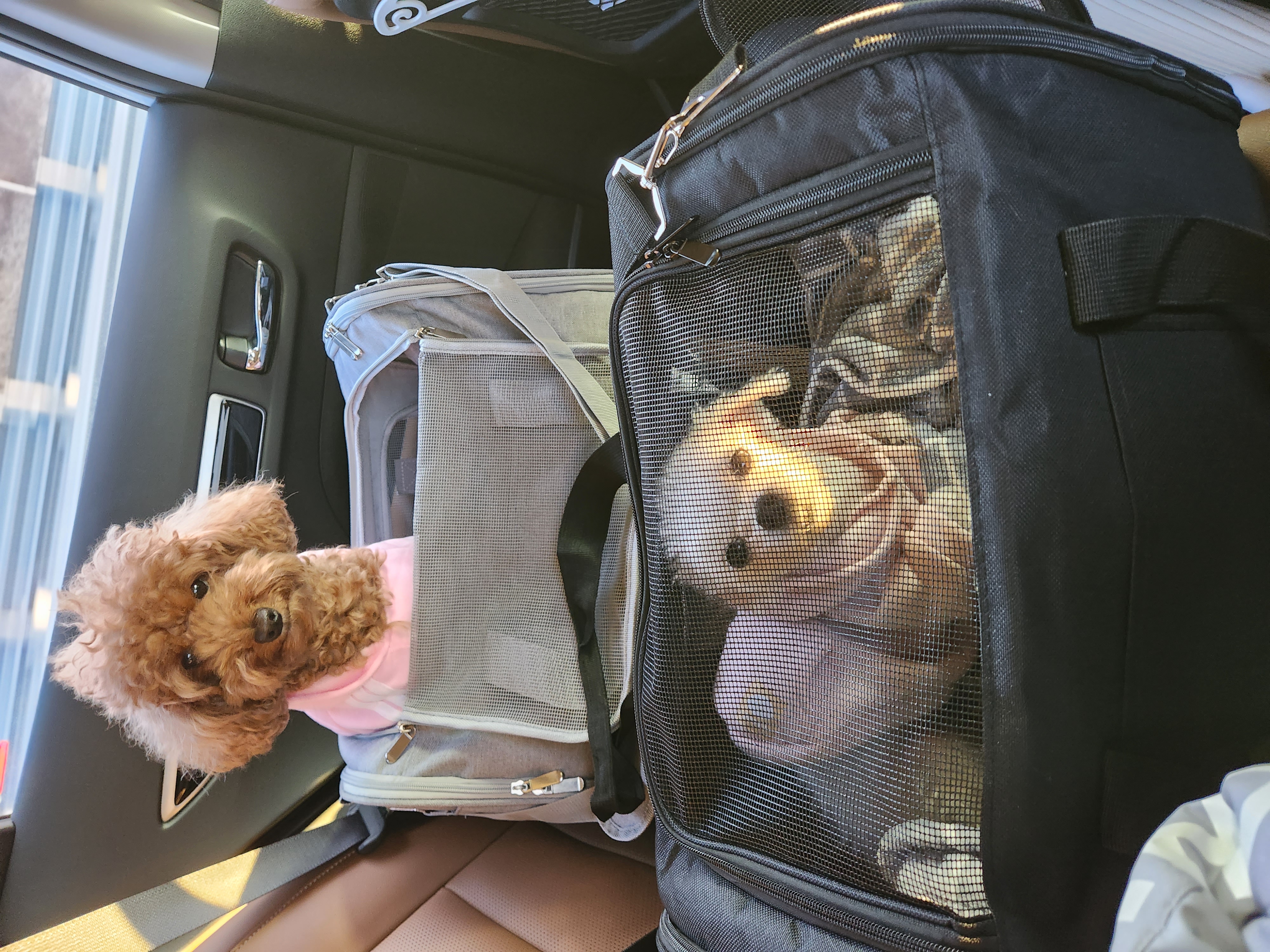 미코 임보 이야기~