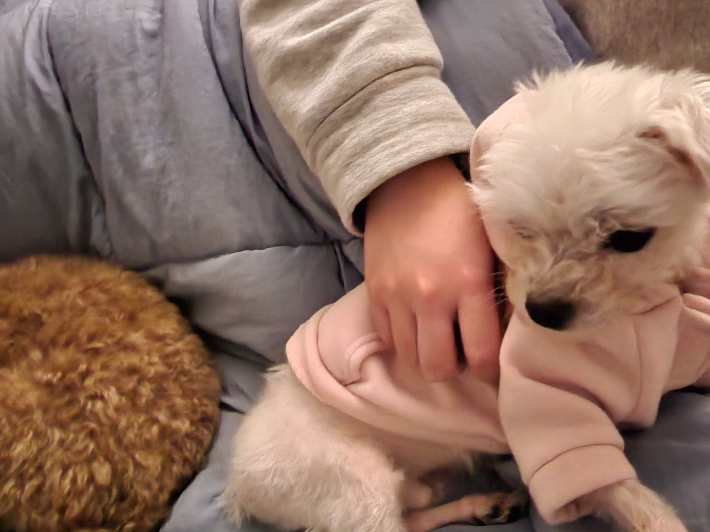 미코 임보 이야기~