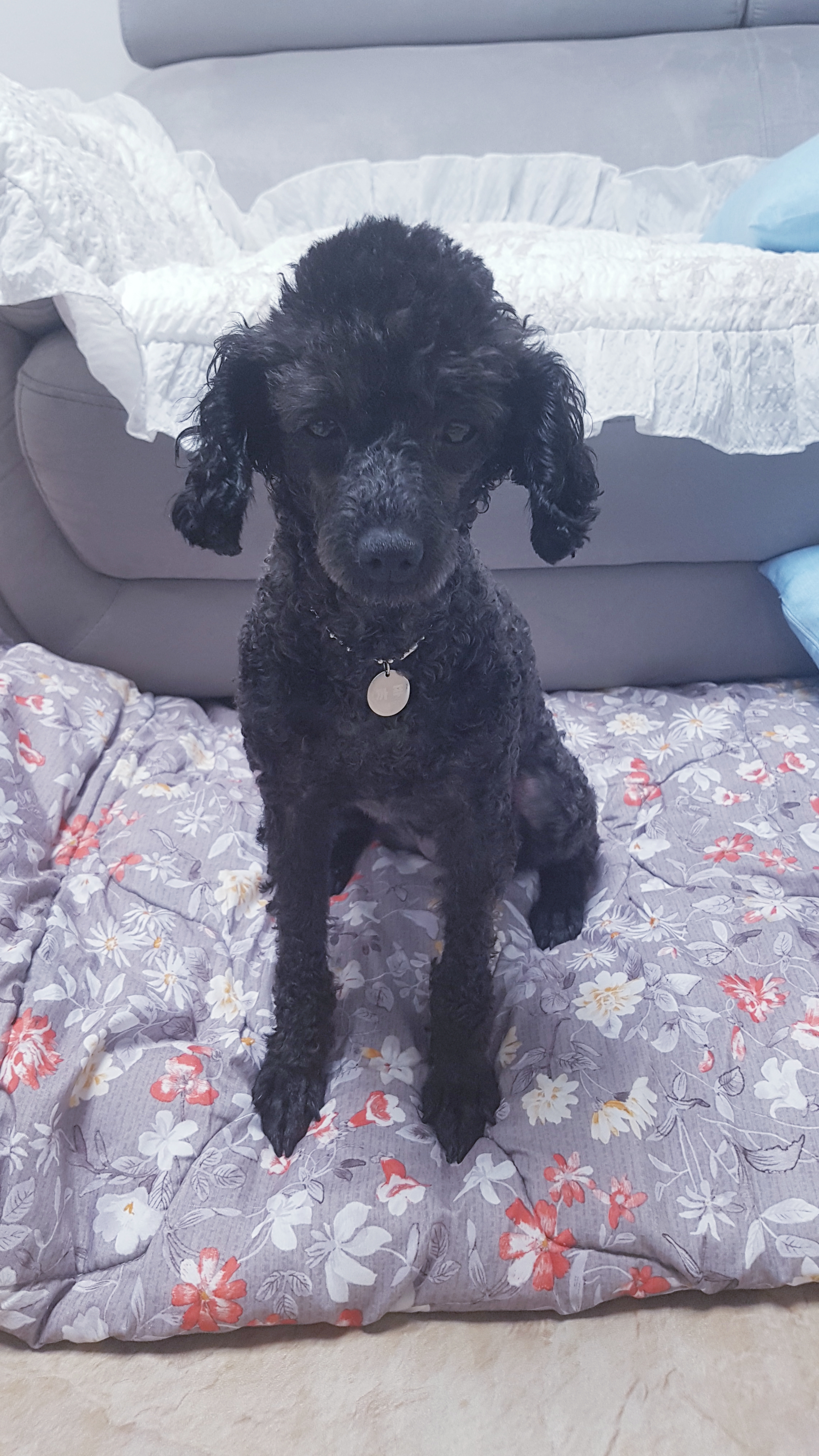 우리 까푸~까푸~♡♡♡