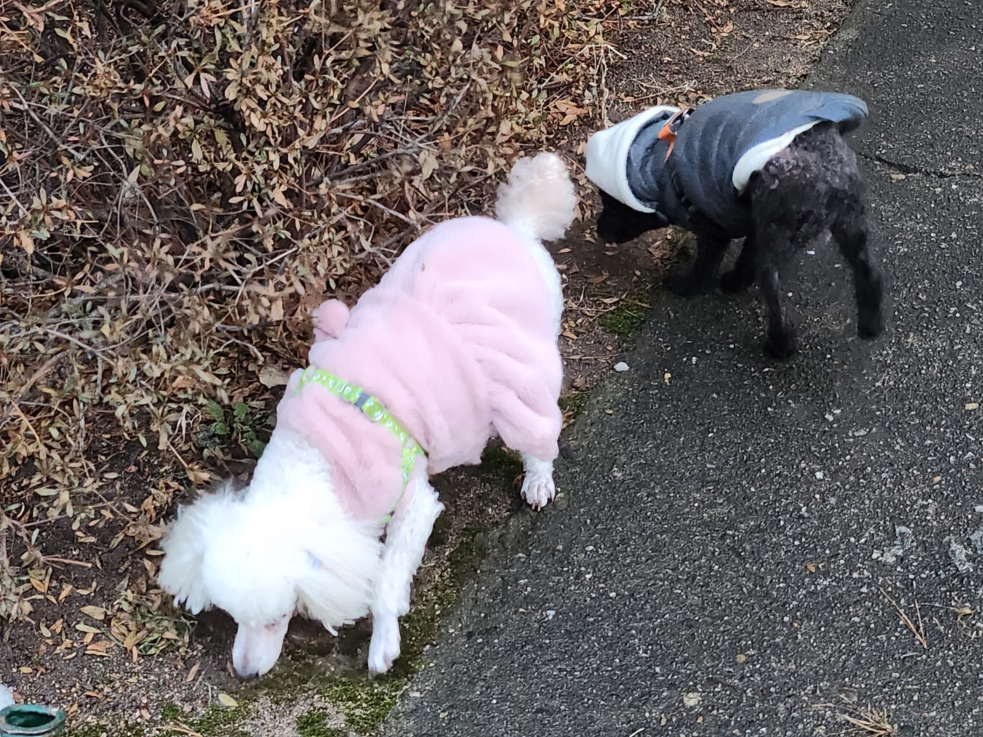 우리 까푸~까푸~♡♡♡