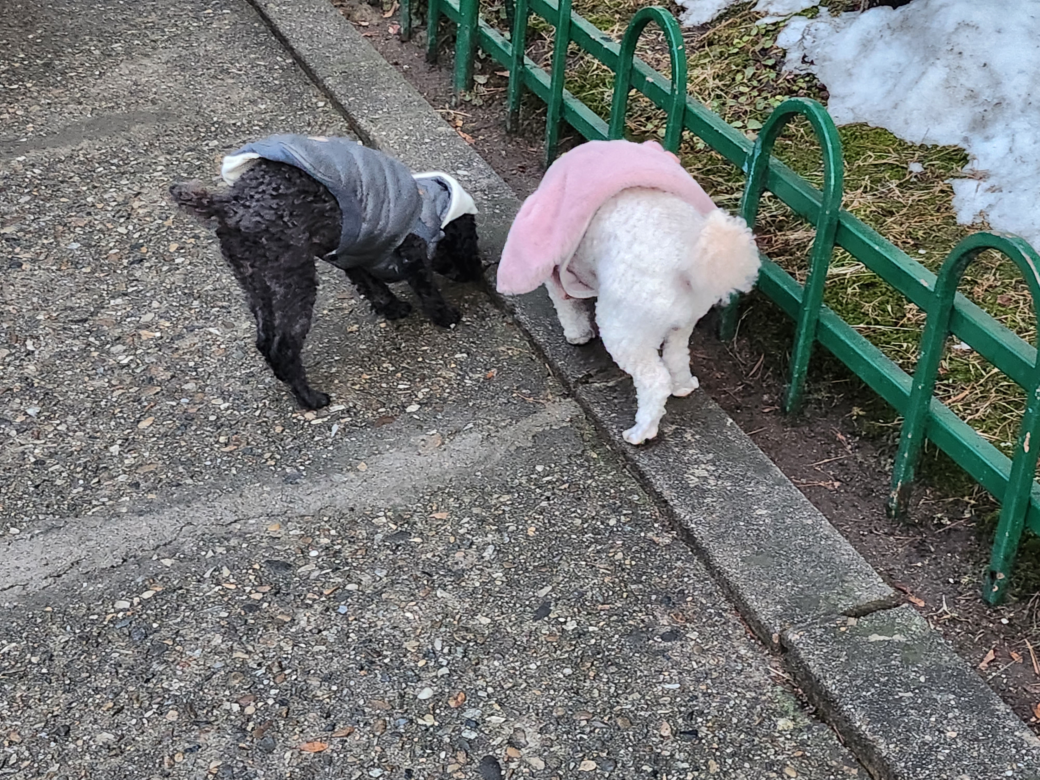 우리 까푸~까푸~♡♡♡