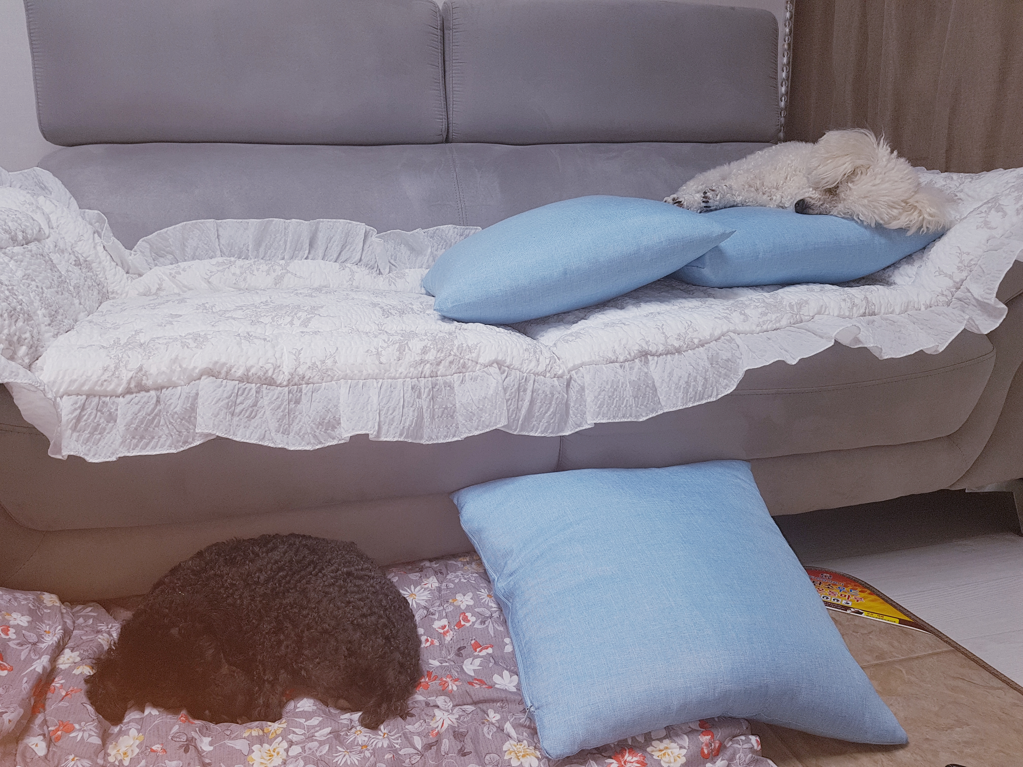 우리 까푸~까푸~♡♡♡