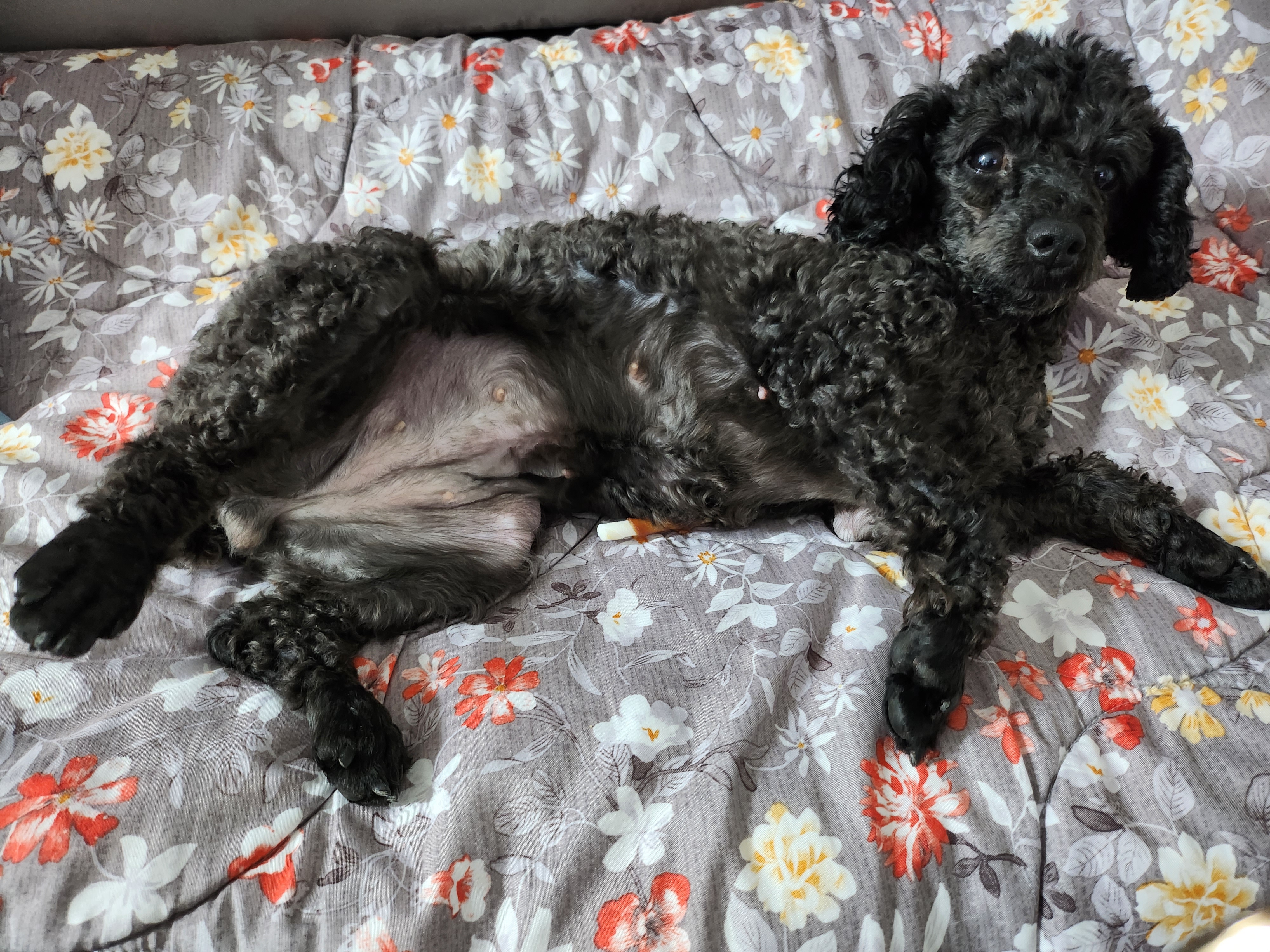 우리 까푸~까푸~♡♡♡