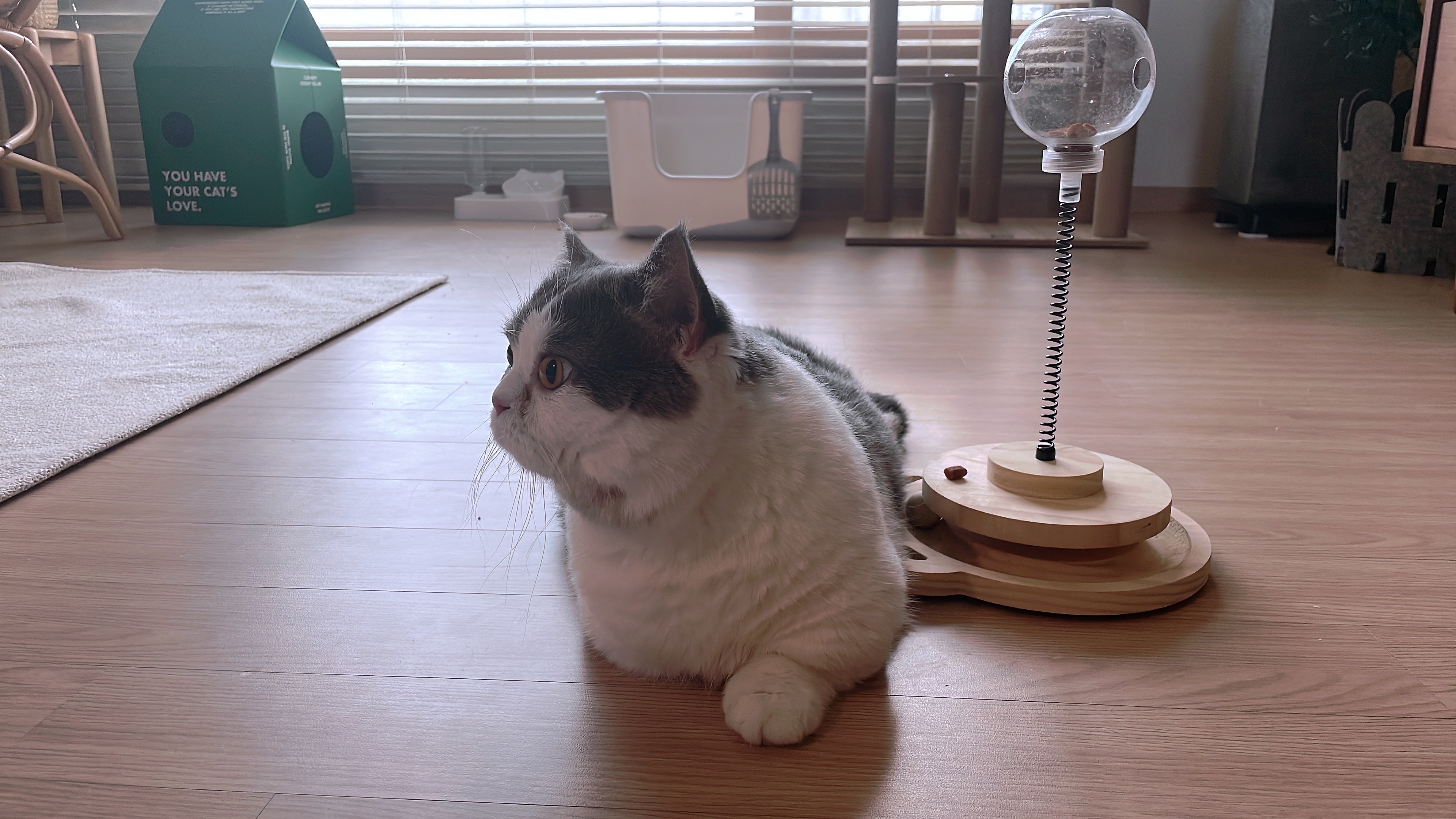 우리 뭉이  일상