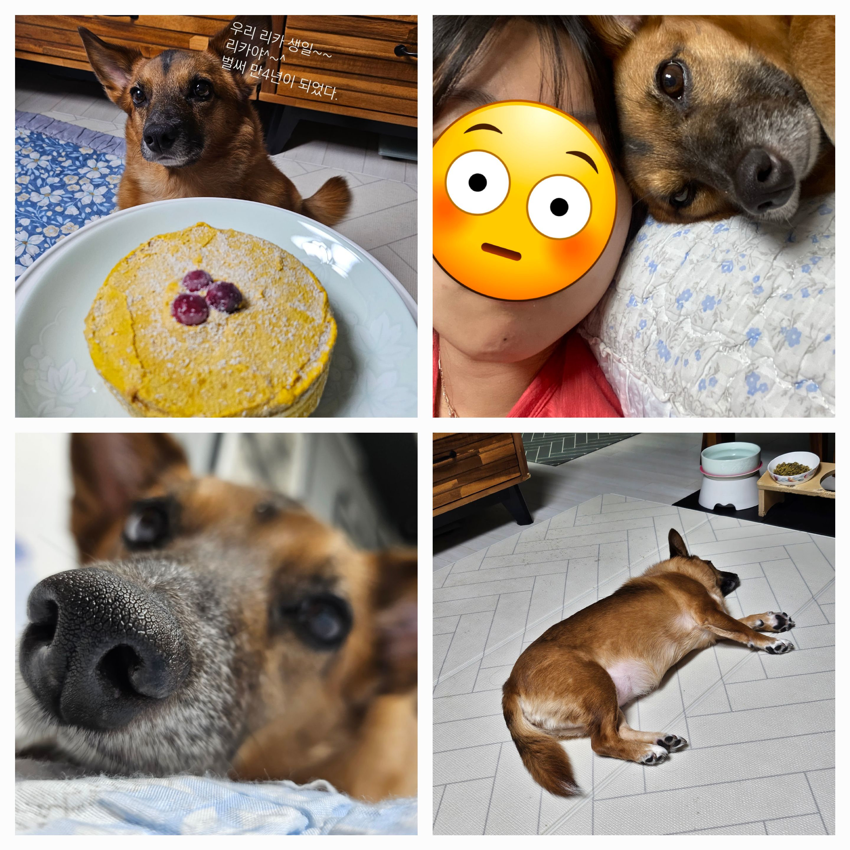 안녕하세요. 리카입니다.