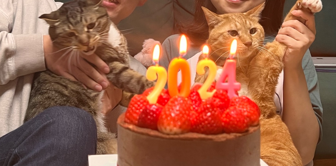 복동(9년)&깨비(4.6년) 건강히 잘 지냅니다~