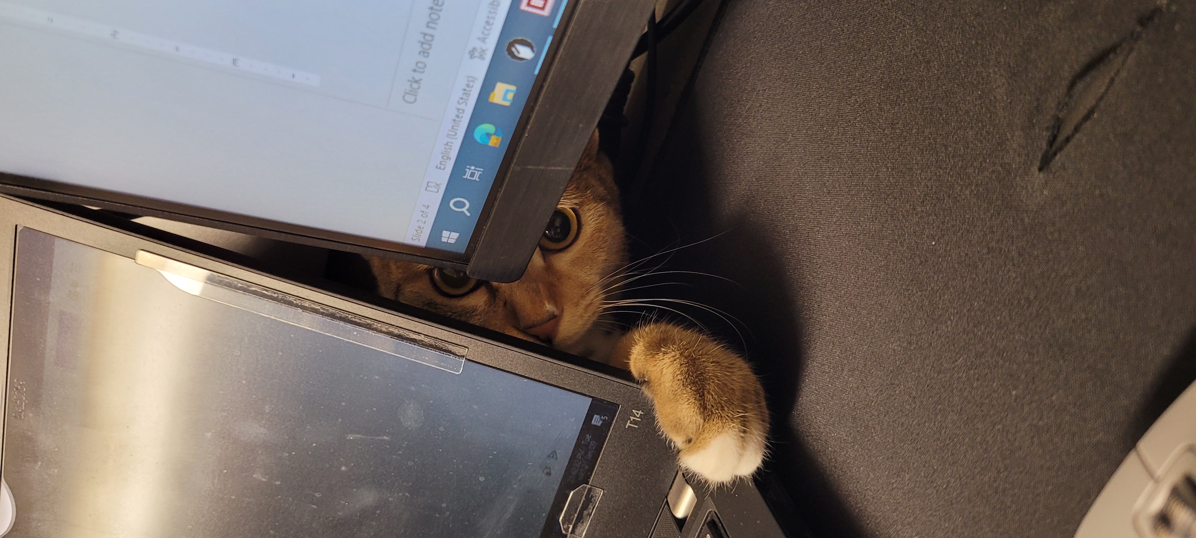 일튼이 한달 후기