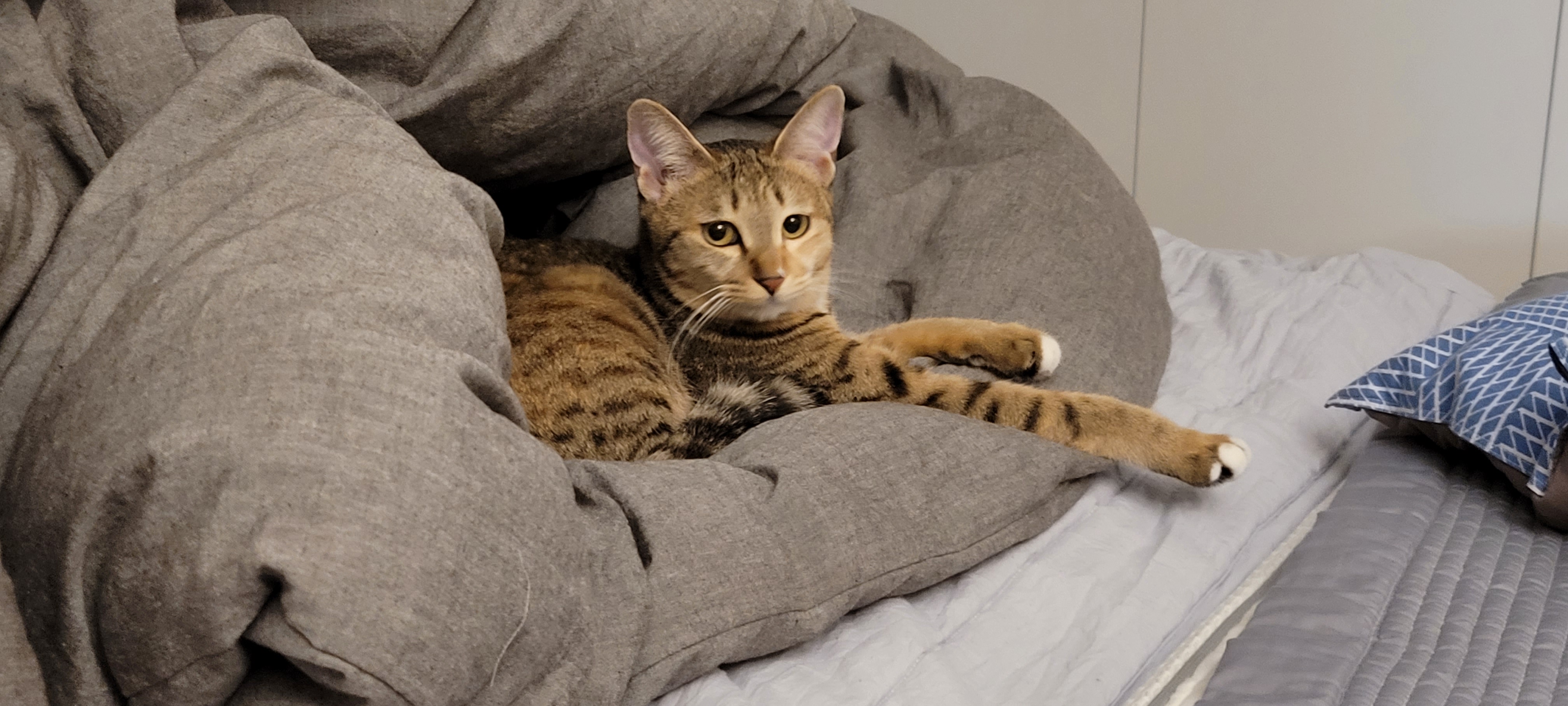 일튼이 한달 후기