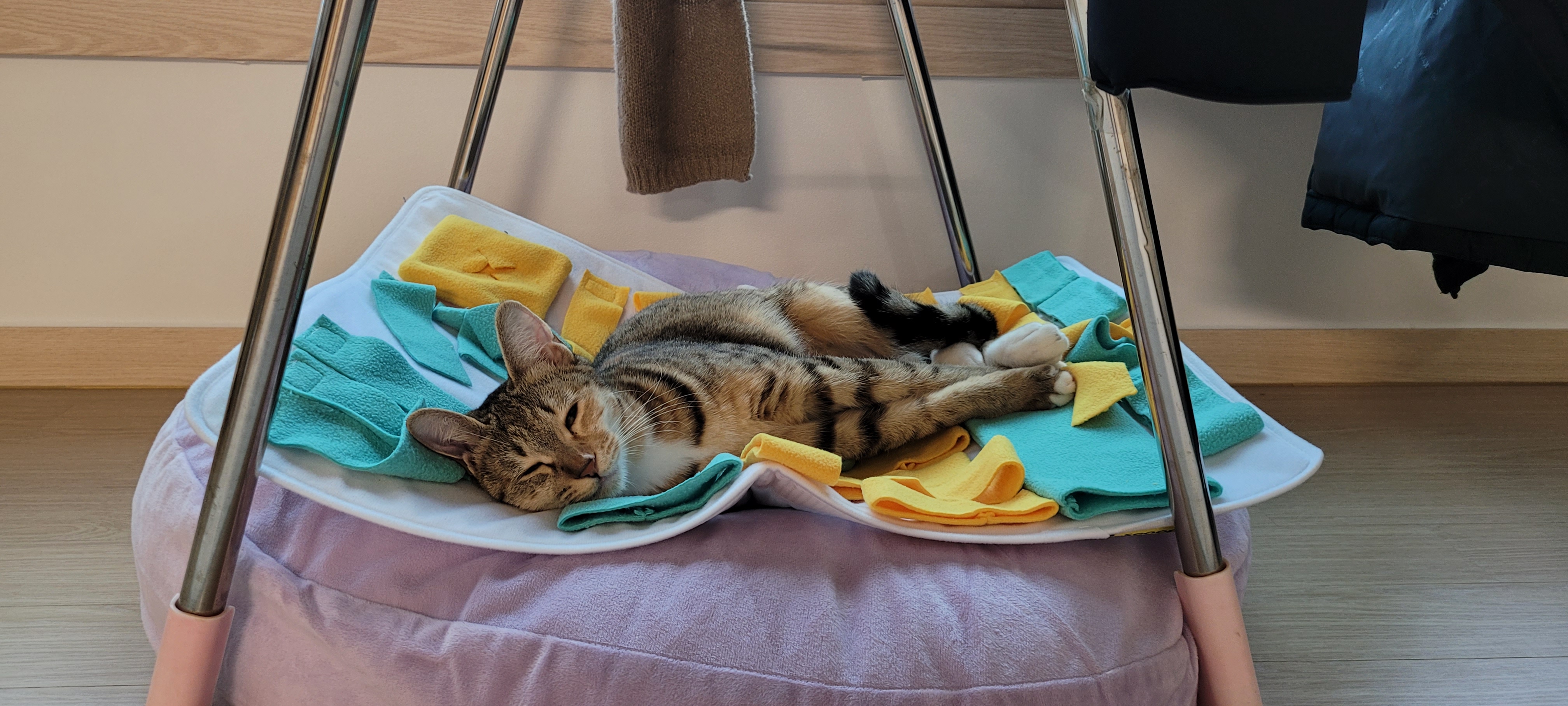 일튼이 한달 후기