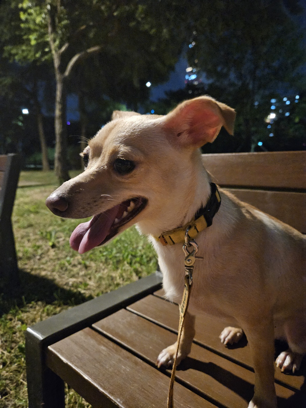 데이와 함께 2년