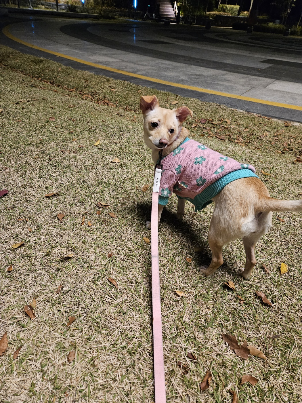 데이와 함께 2년