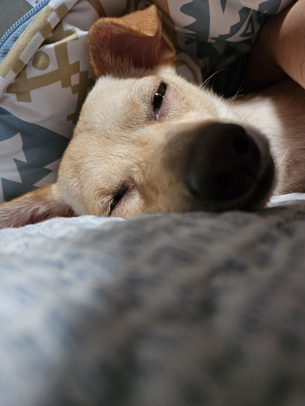 데이와 함께 2년