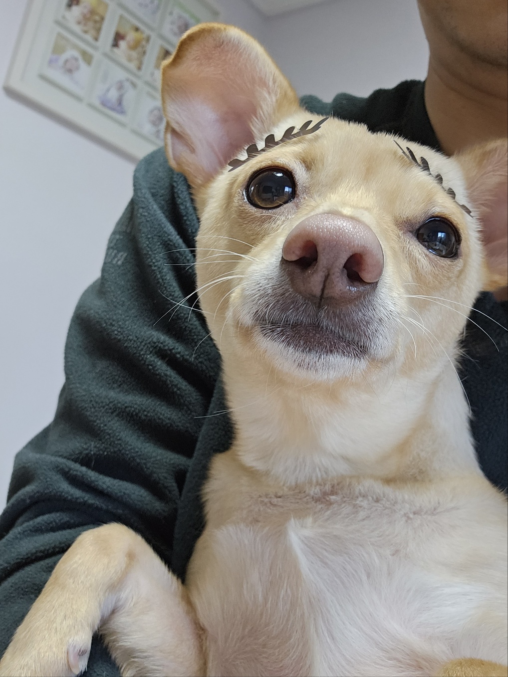 데이와 함께 2년