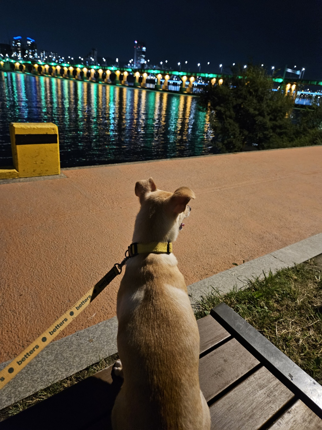 데이와 함께 2년