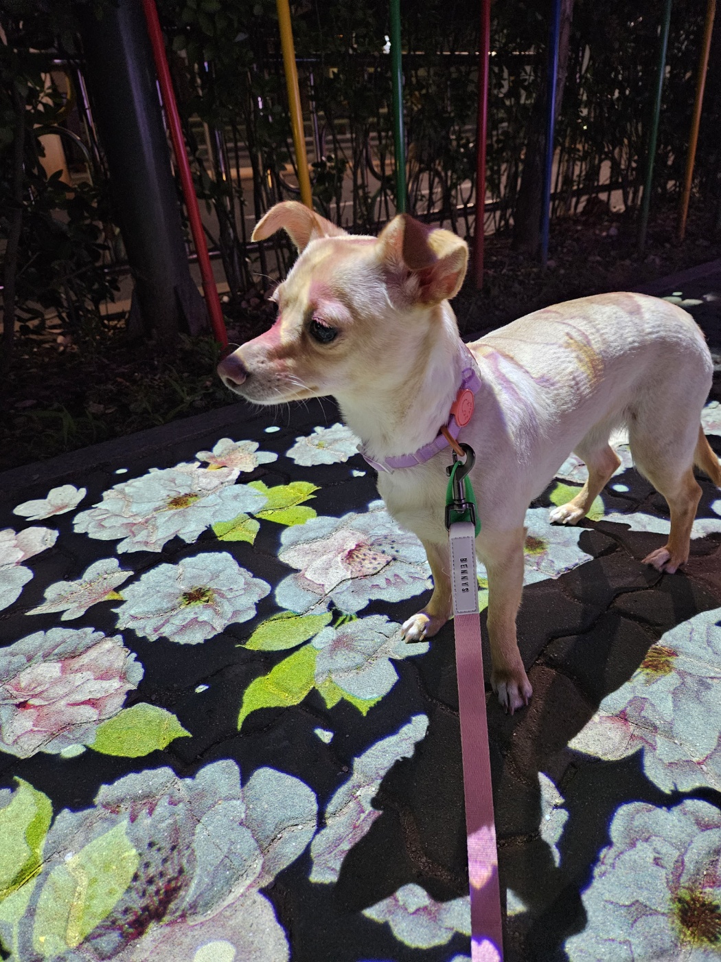 데이와 함께 2년