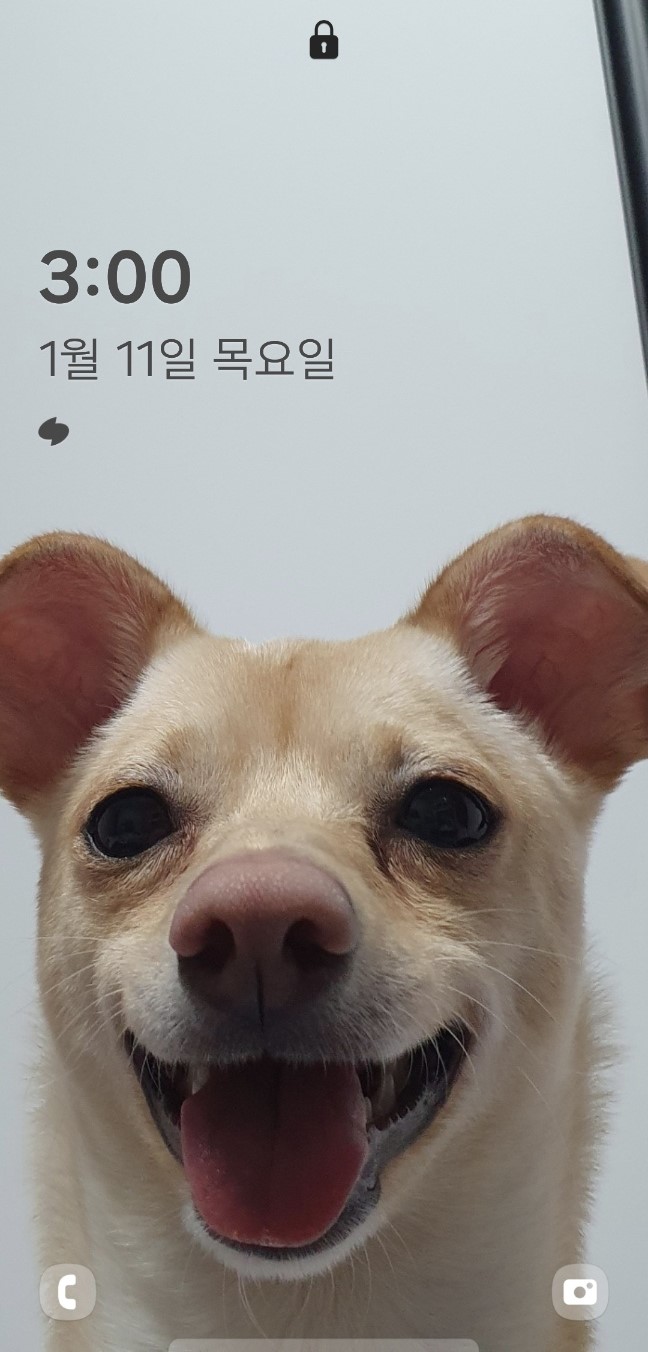 데이와 함께 2년