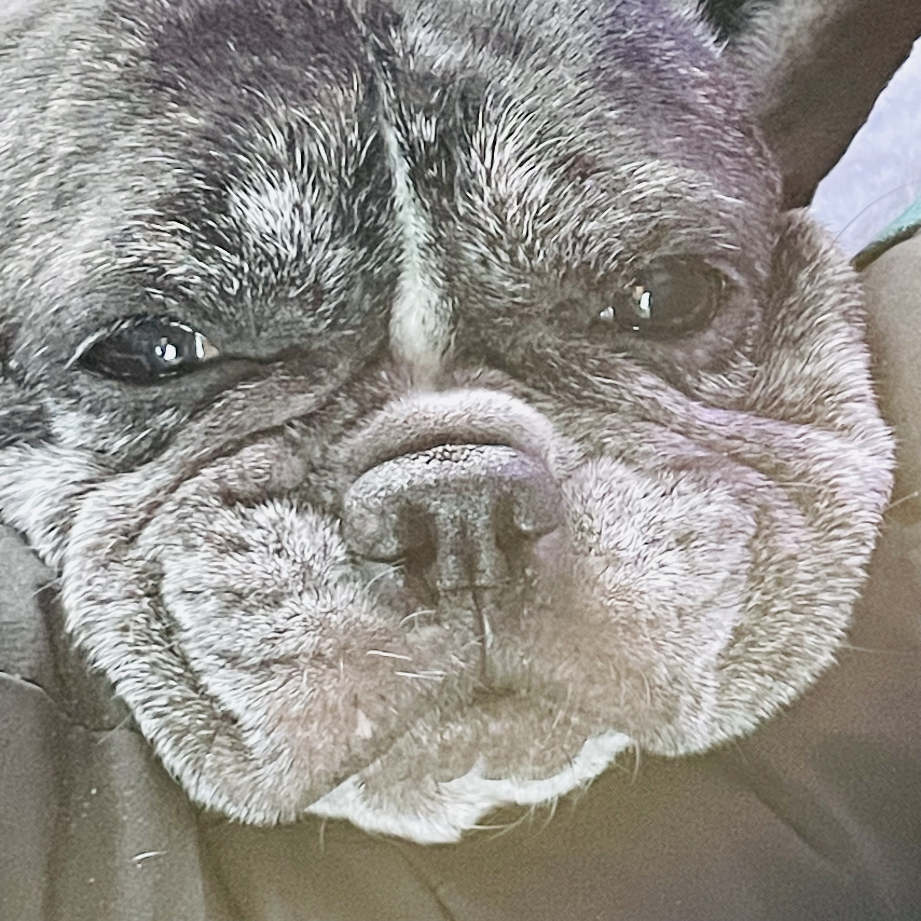 호이 임보일기!!! 💗💗