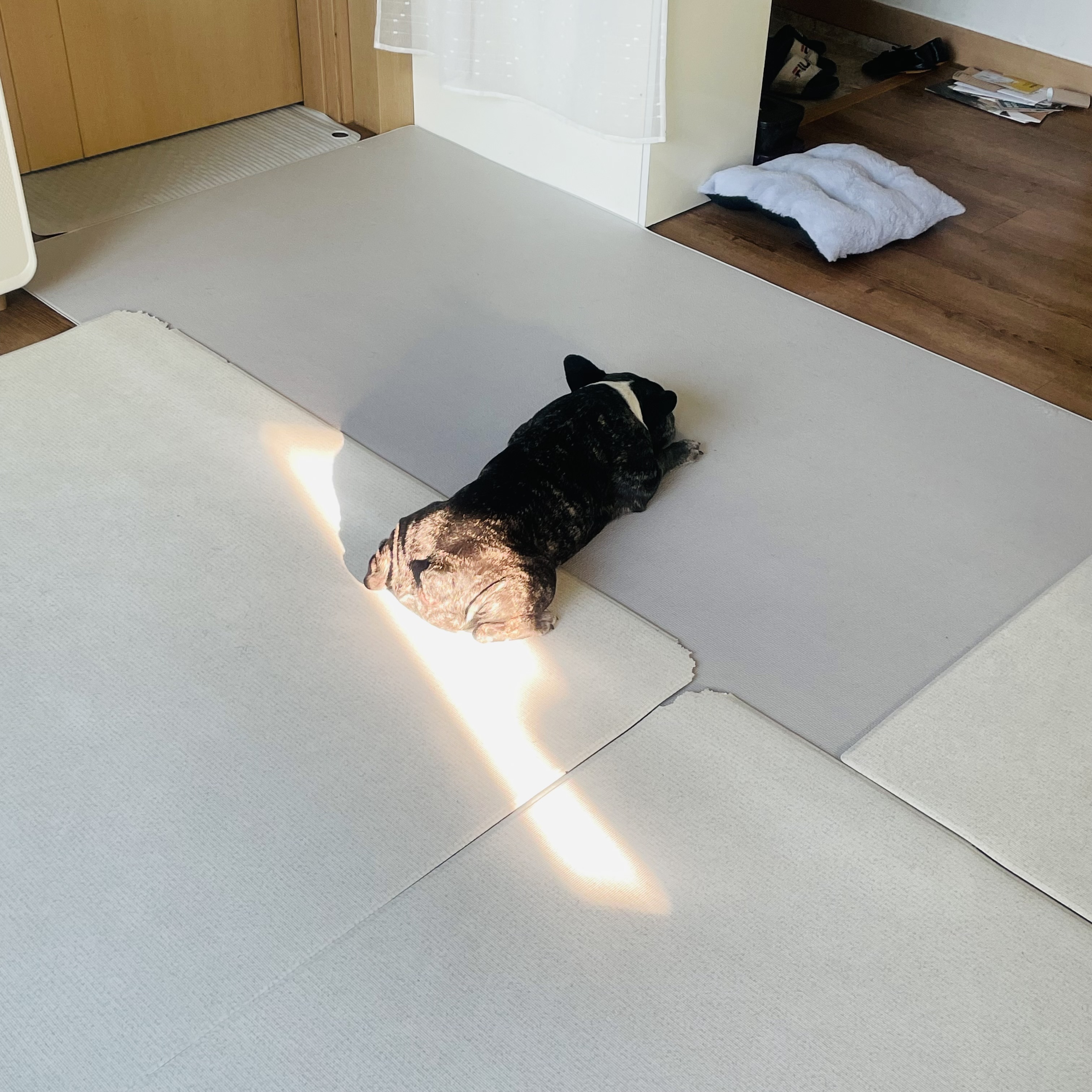 호이 임보일기!!! 💗💗