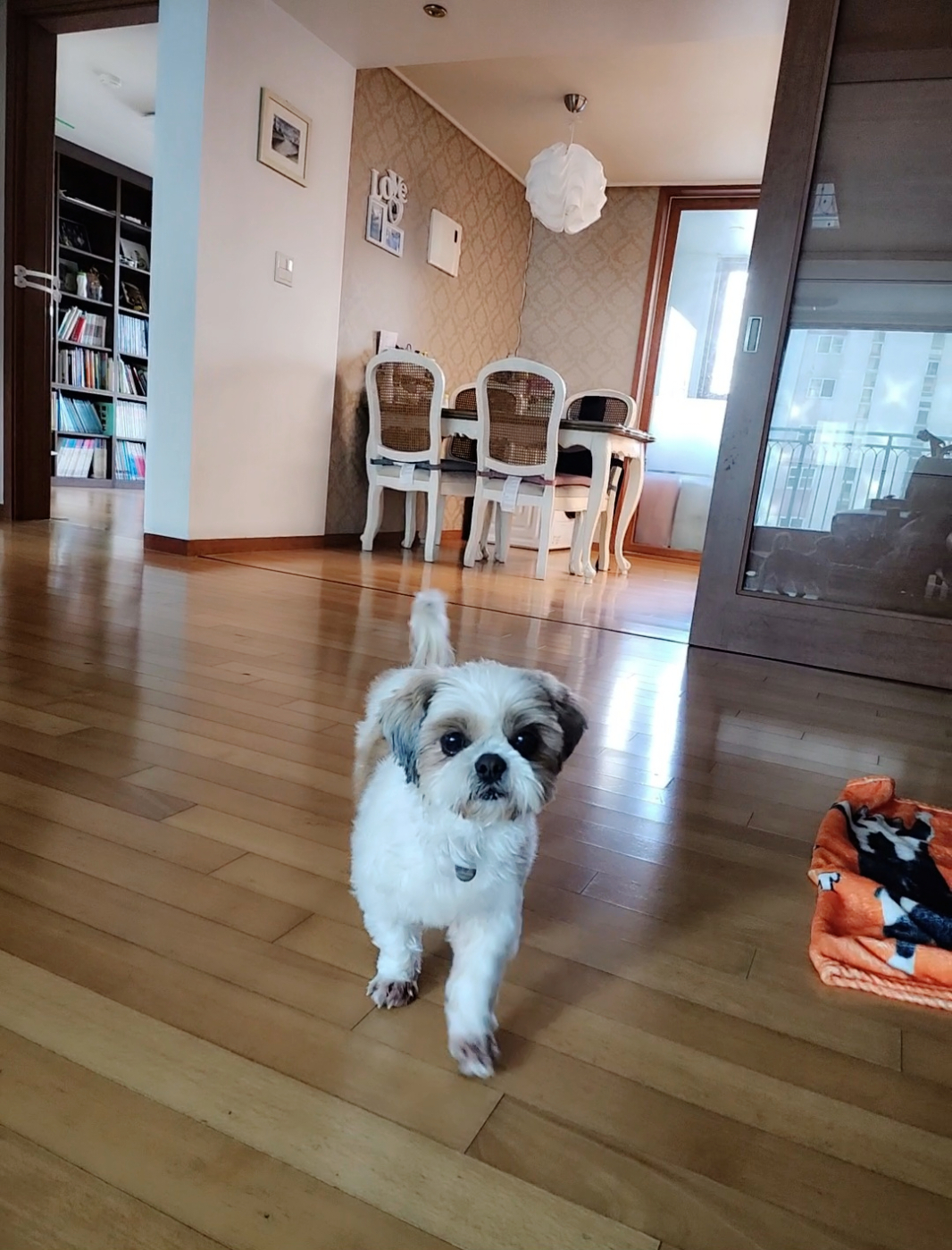 (에밀리_양구28) 튼튼이 한달차 후기