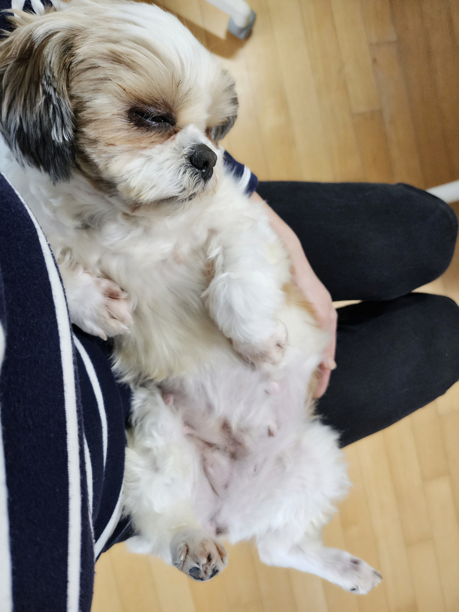 (에밀리_양구28) 튼튼이 한달차 후기