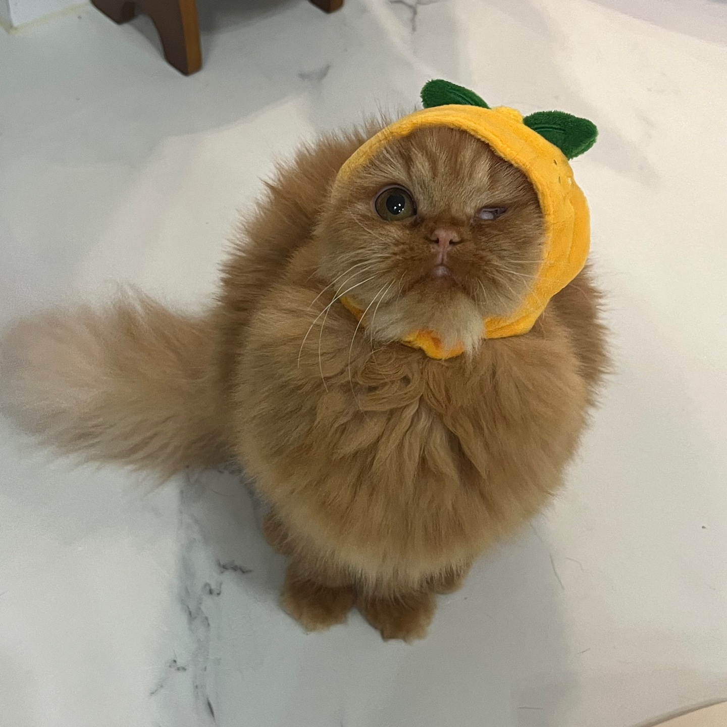 돌고 '도라' 온 만큼 잘 살구같아♡♥♡♥♡♥♡♥