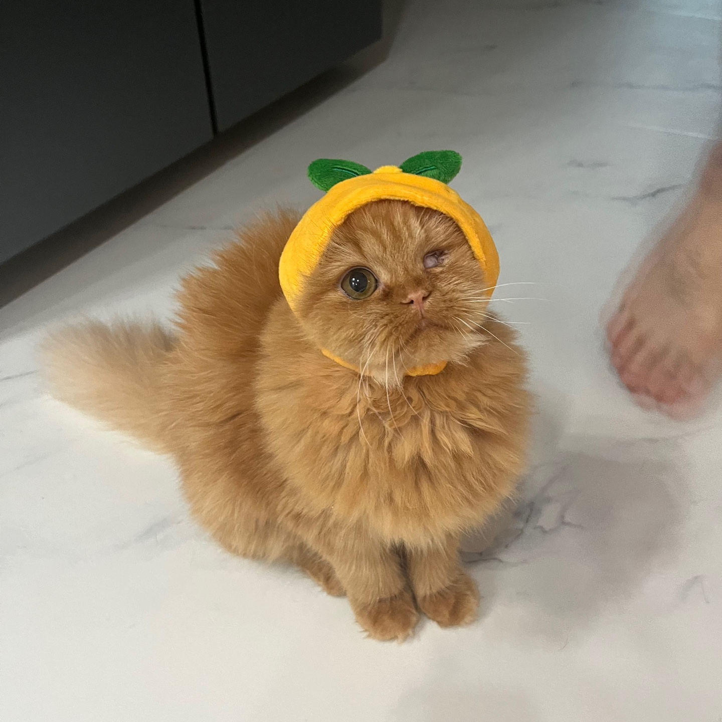 돌고 '도라' 온 만큼 잘 살구같아♡♥♡♥♡♥♡♥