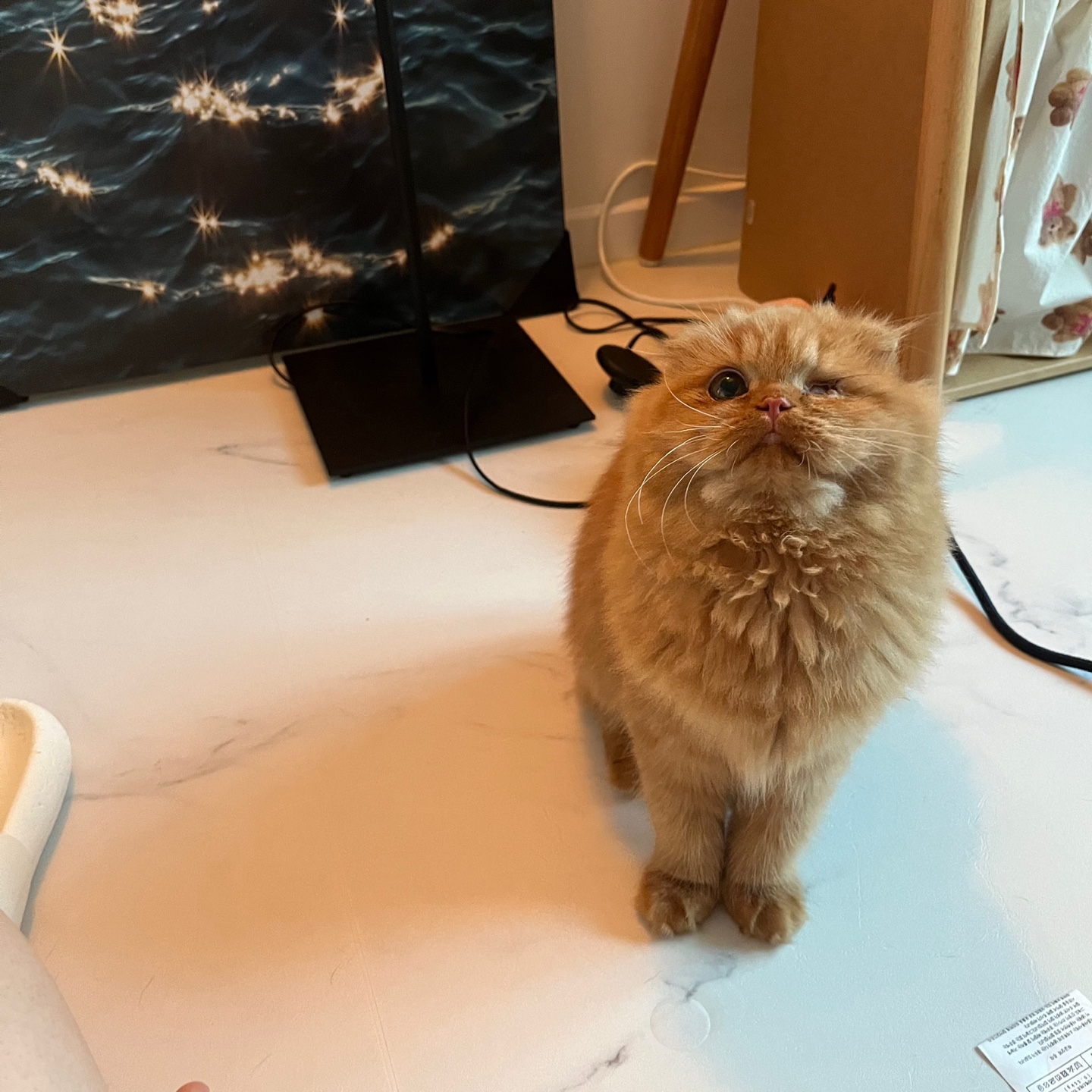 돌고 '도라' 온 만큼 잘 살구같아♡♥♡♥♡♥♡♥