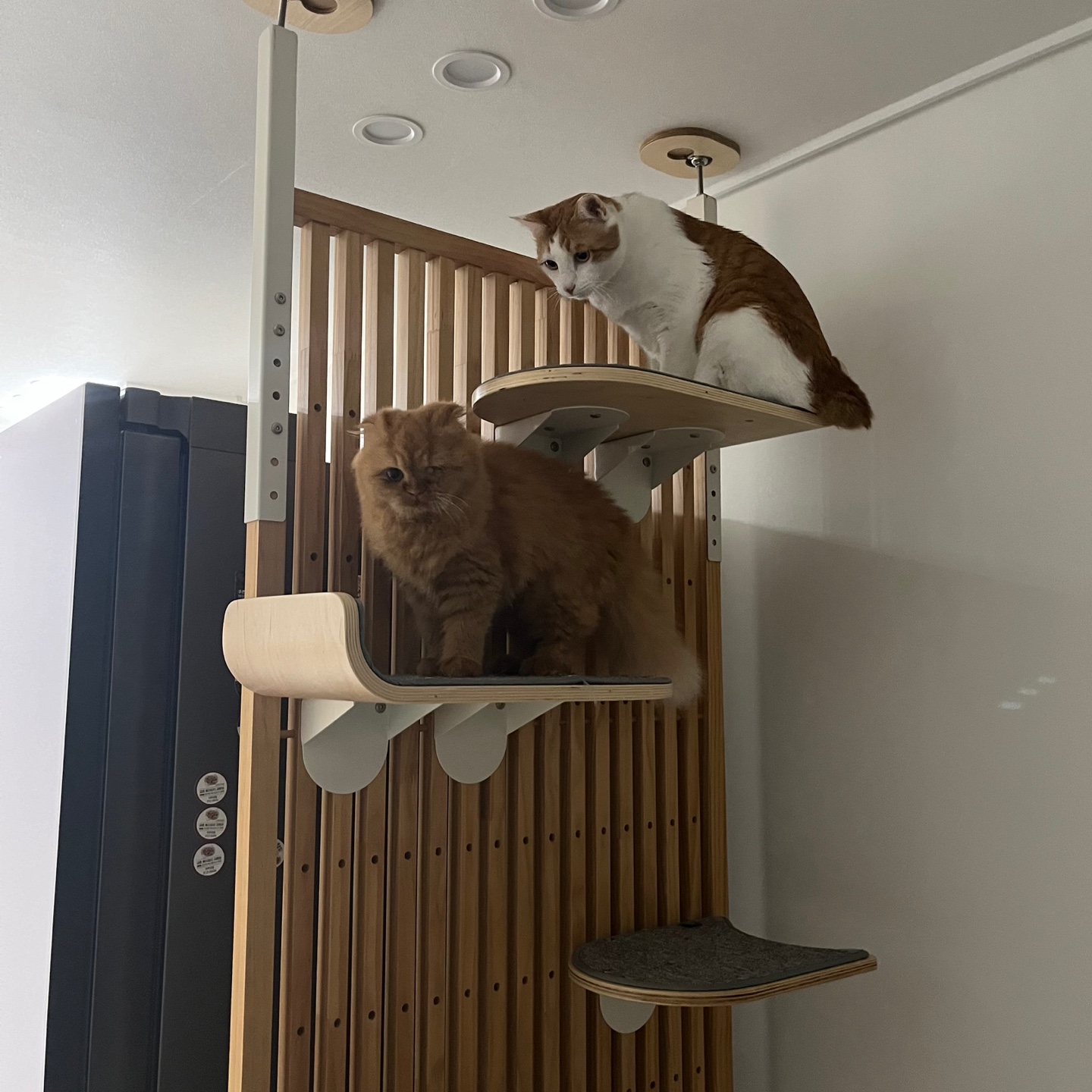 돌고 '도라' 온 만큼 잘 살구같아♡♥♡♥♡♥♡♥