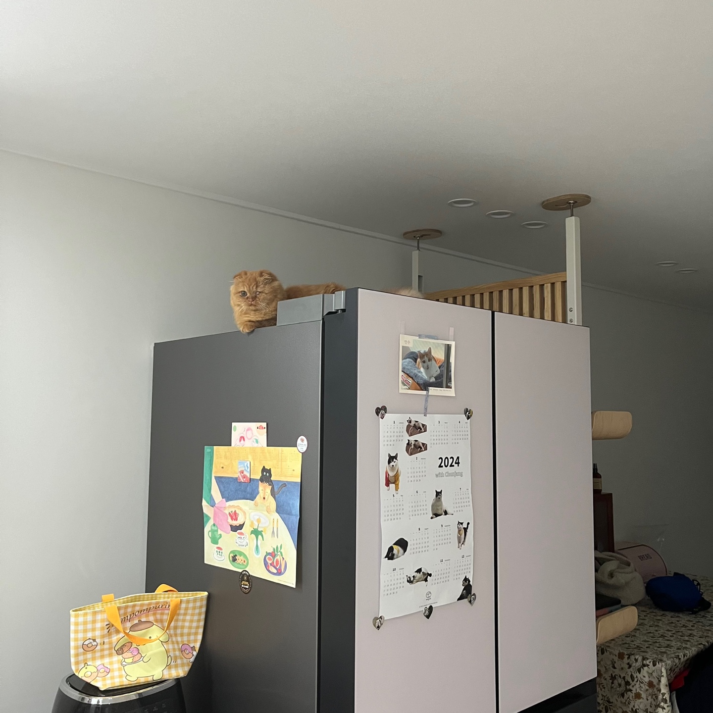 돌고 '도라' 온 만큼 잘 살구같아♡♥♡♥♡♥♡♥