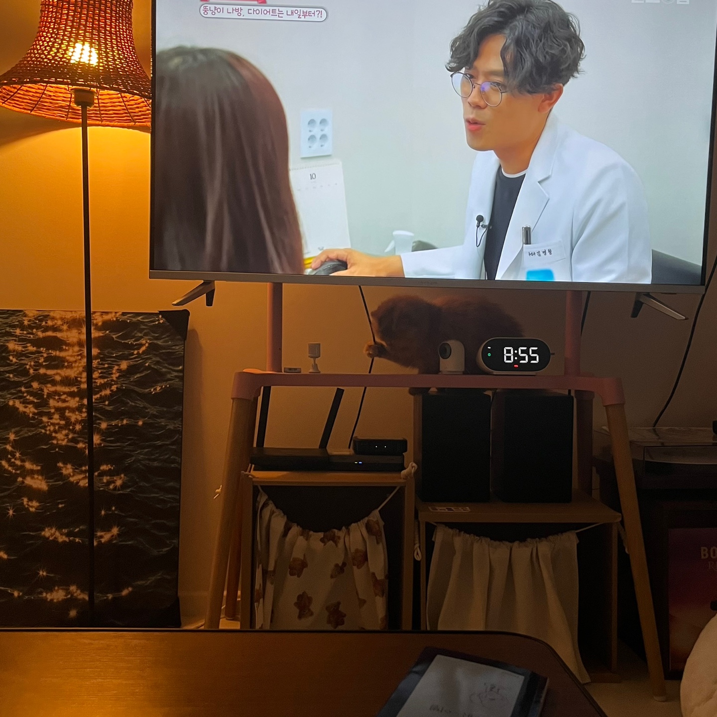 돌고 '도라' 온 만큼 잘 살구같아♡♥♡♥♡♥♡♥