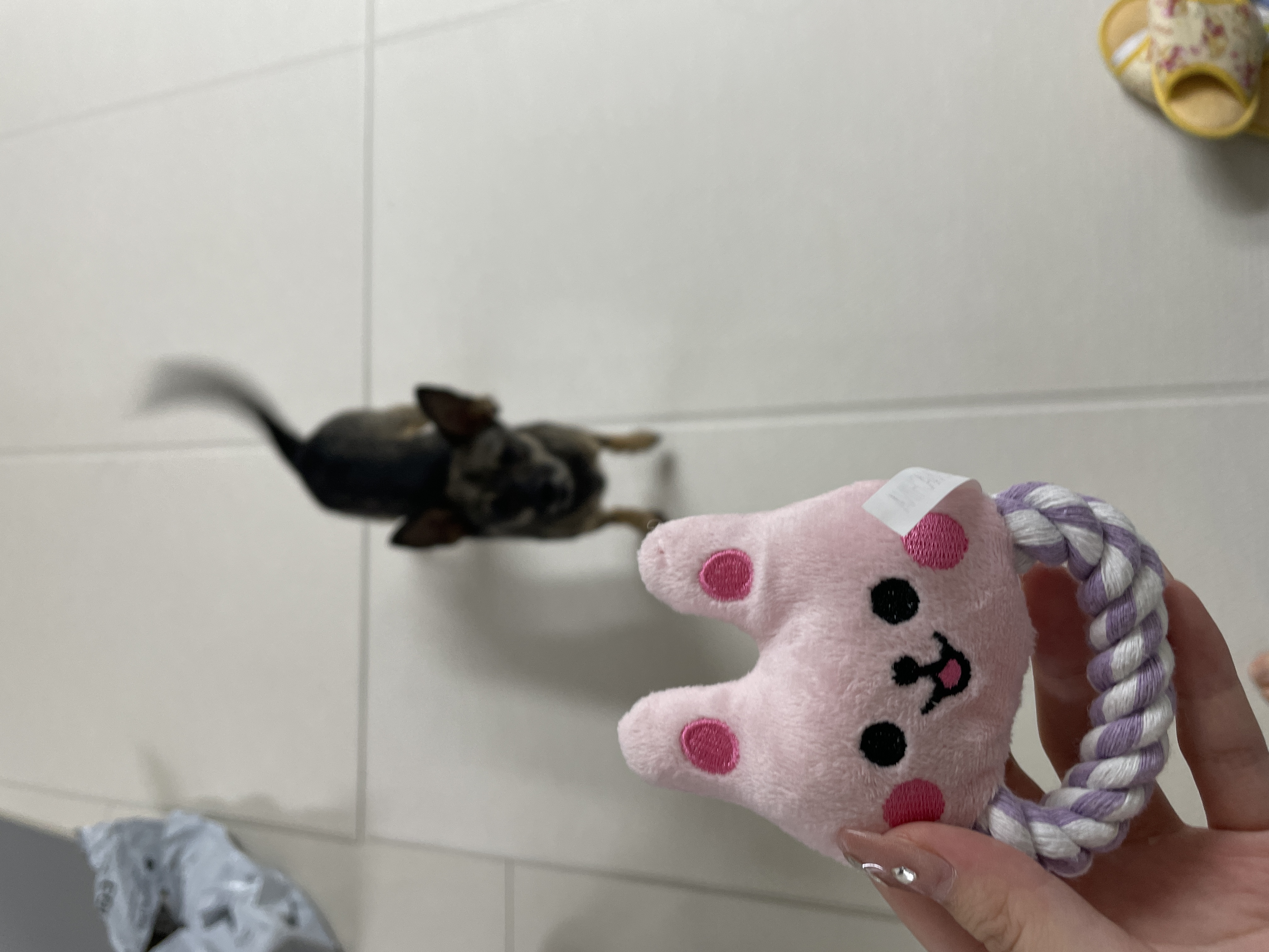 베티(베러)와 함께한 2년