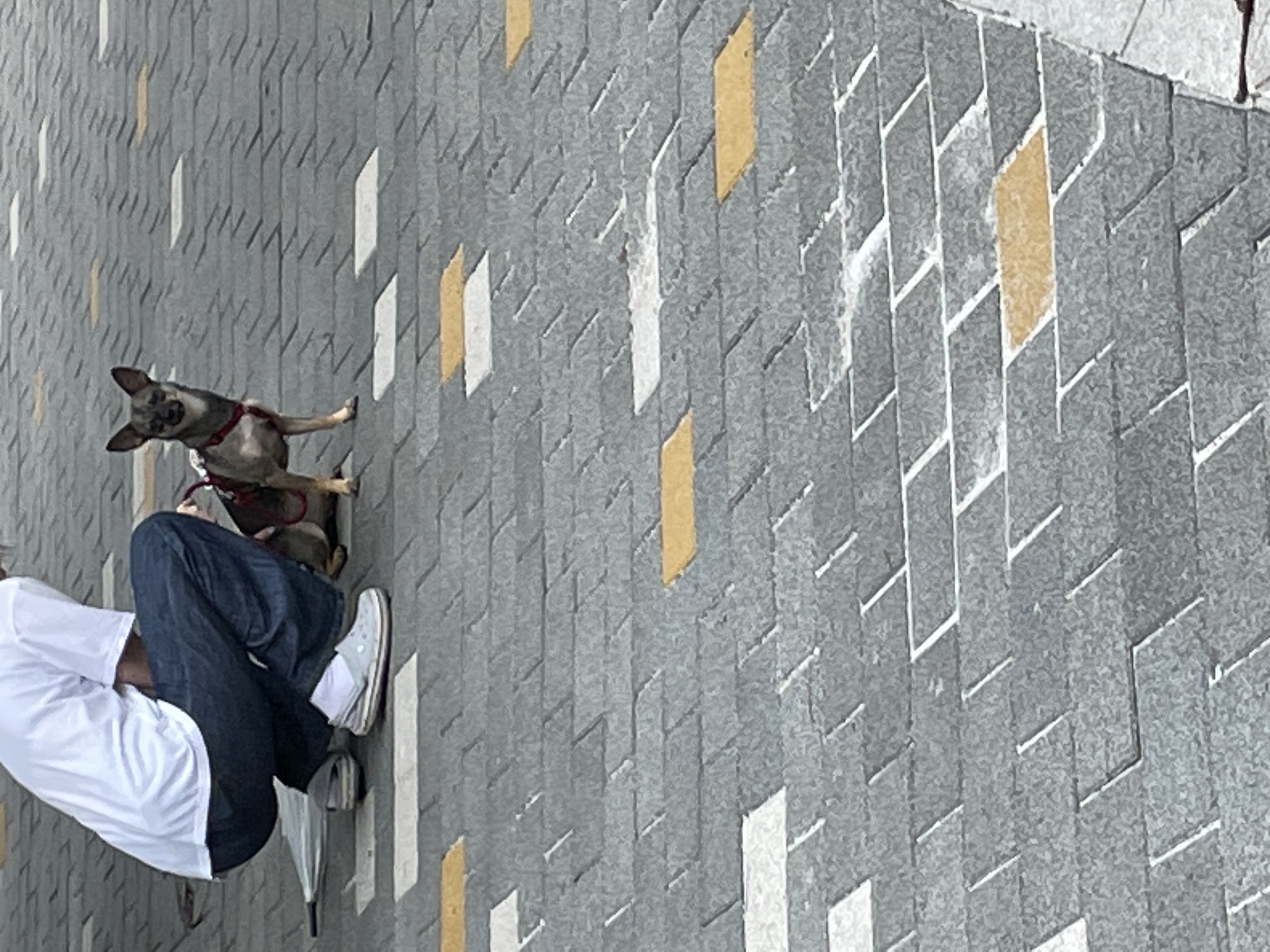 베티(베러)와 함께한 2년