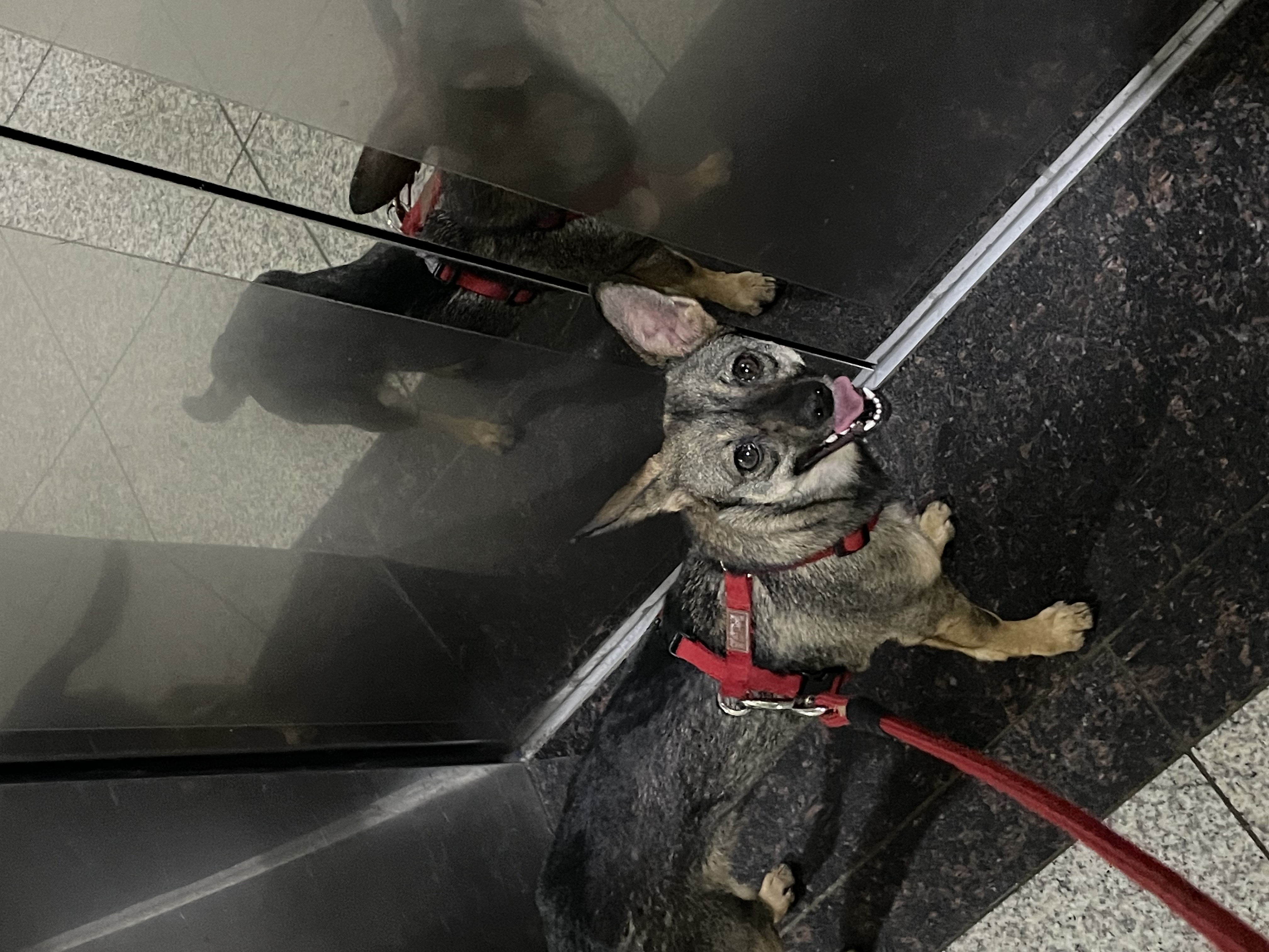 베티(베러)와 함께한 2년