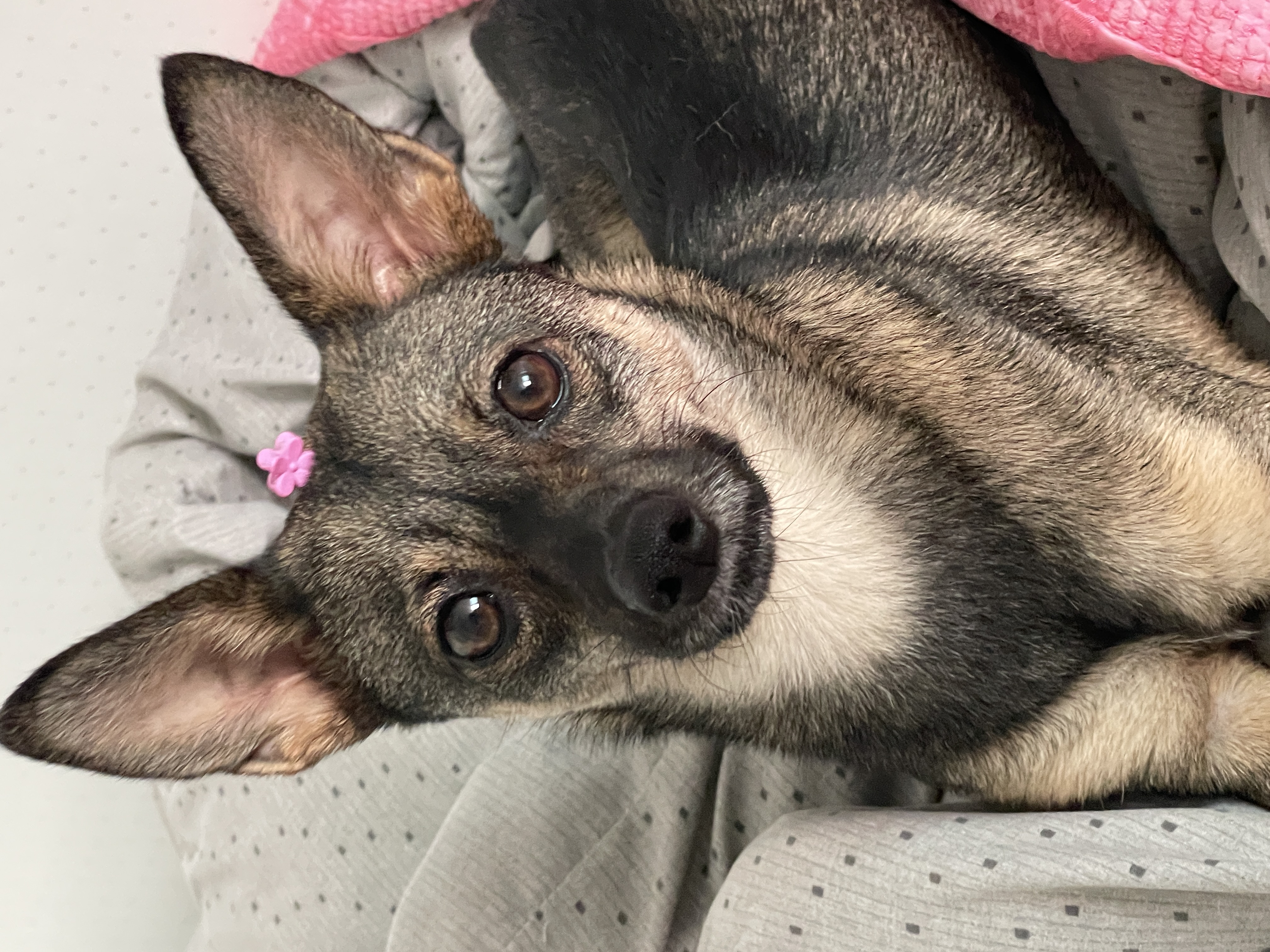 베티(베러)와 함께한 2년