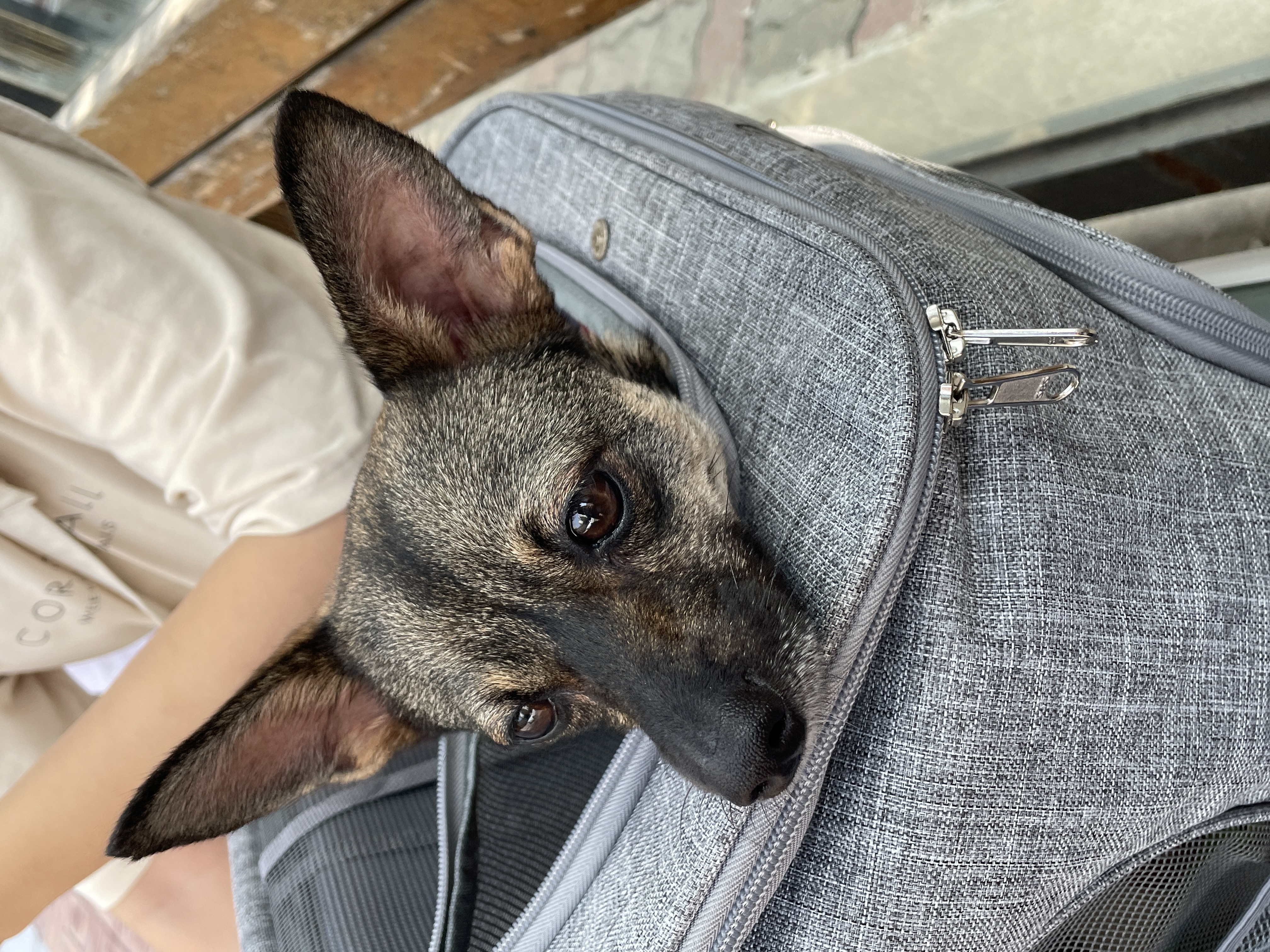 베티(베러)와 함께한 2년