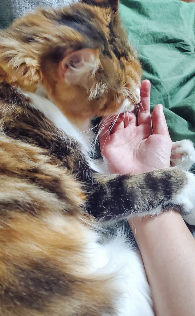 웨이 입양 한달 후기