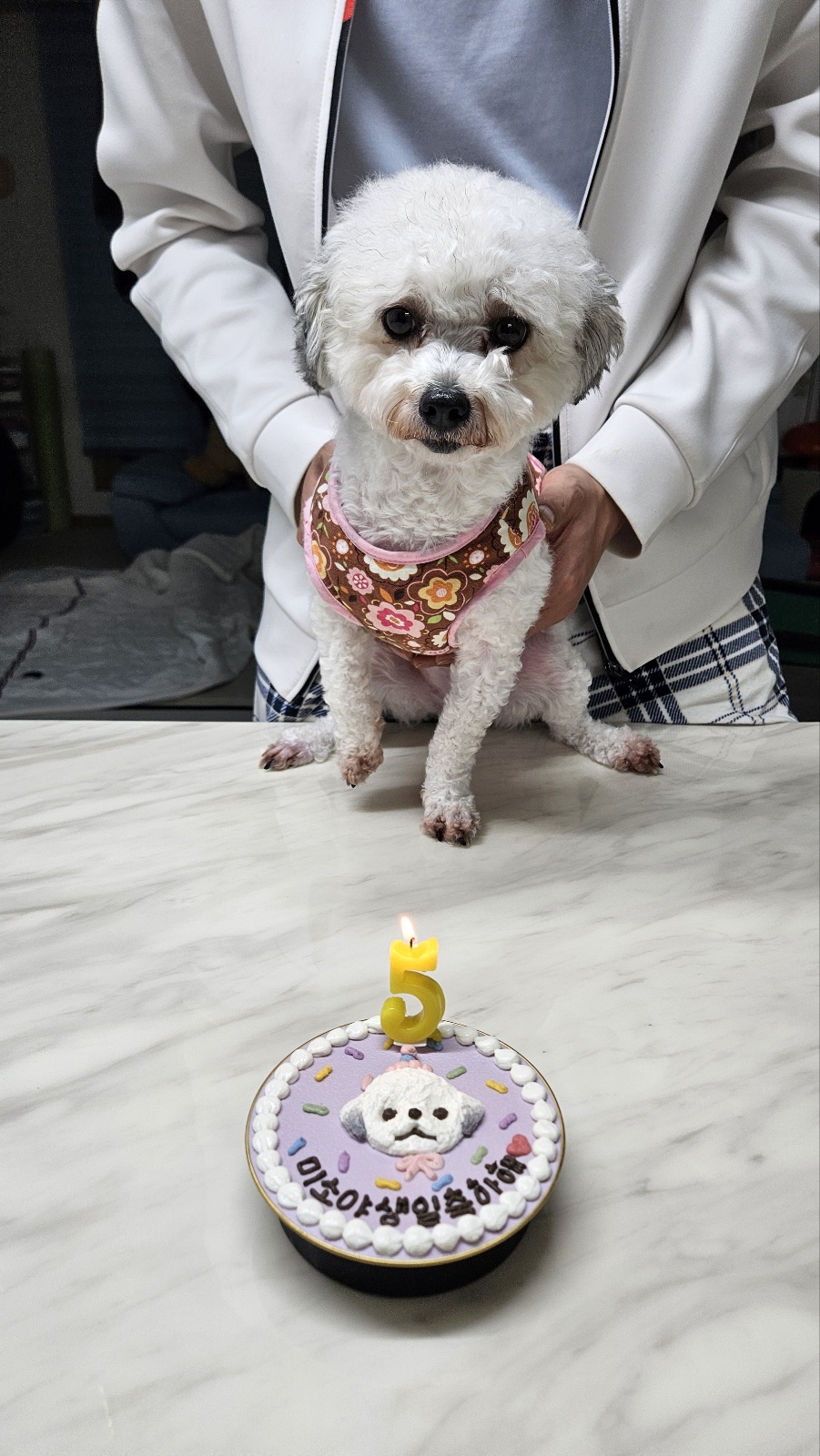 알록이(미소)반년이 다 되어가요