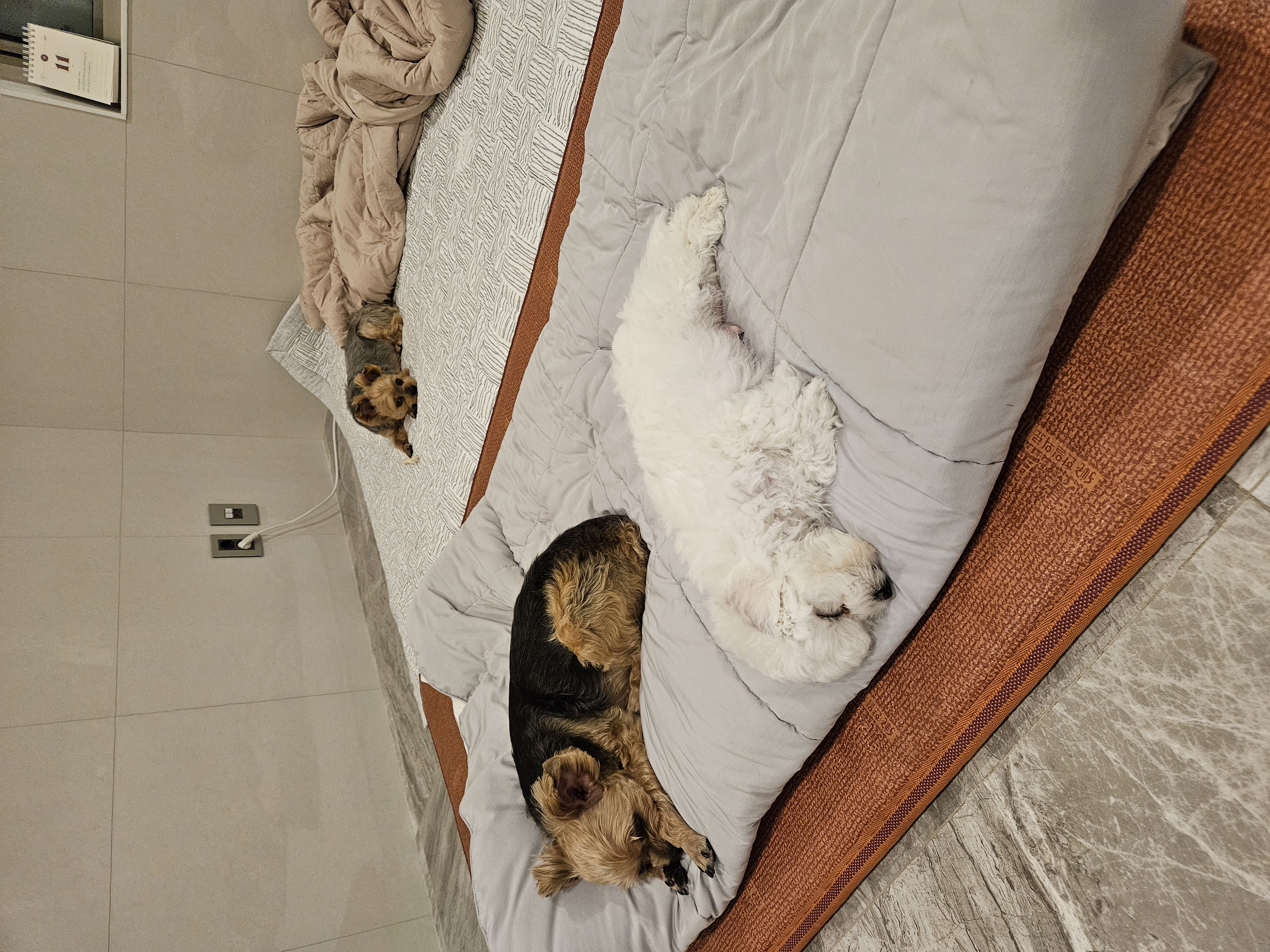 볼보 (구 양삼이)