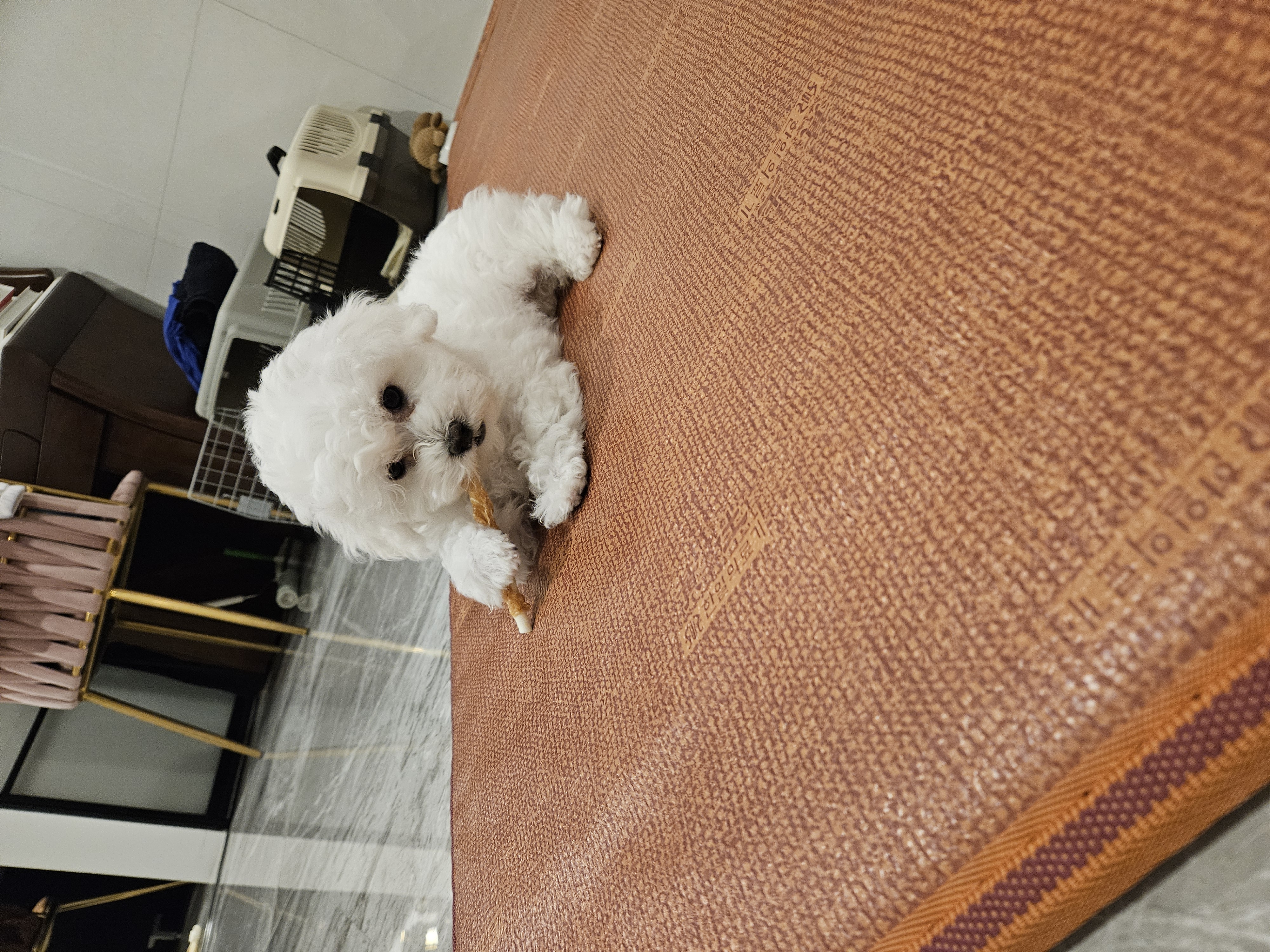 볼보 (구 양삼이)