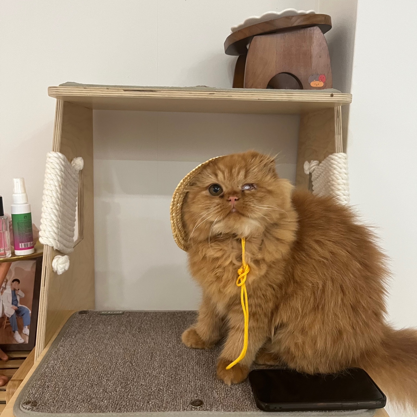 돌고 '도라' 온 만큼 잘 살구같아♡♥♡♥♡♥♡♥-2-