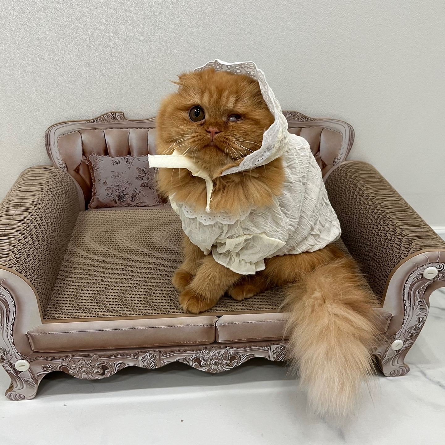 돌고 '도라' 온 만큼 잘 살구같아♡♥♡♥♡♥♡♥-2-