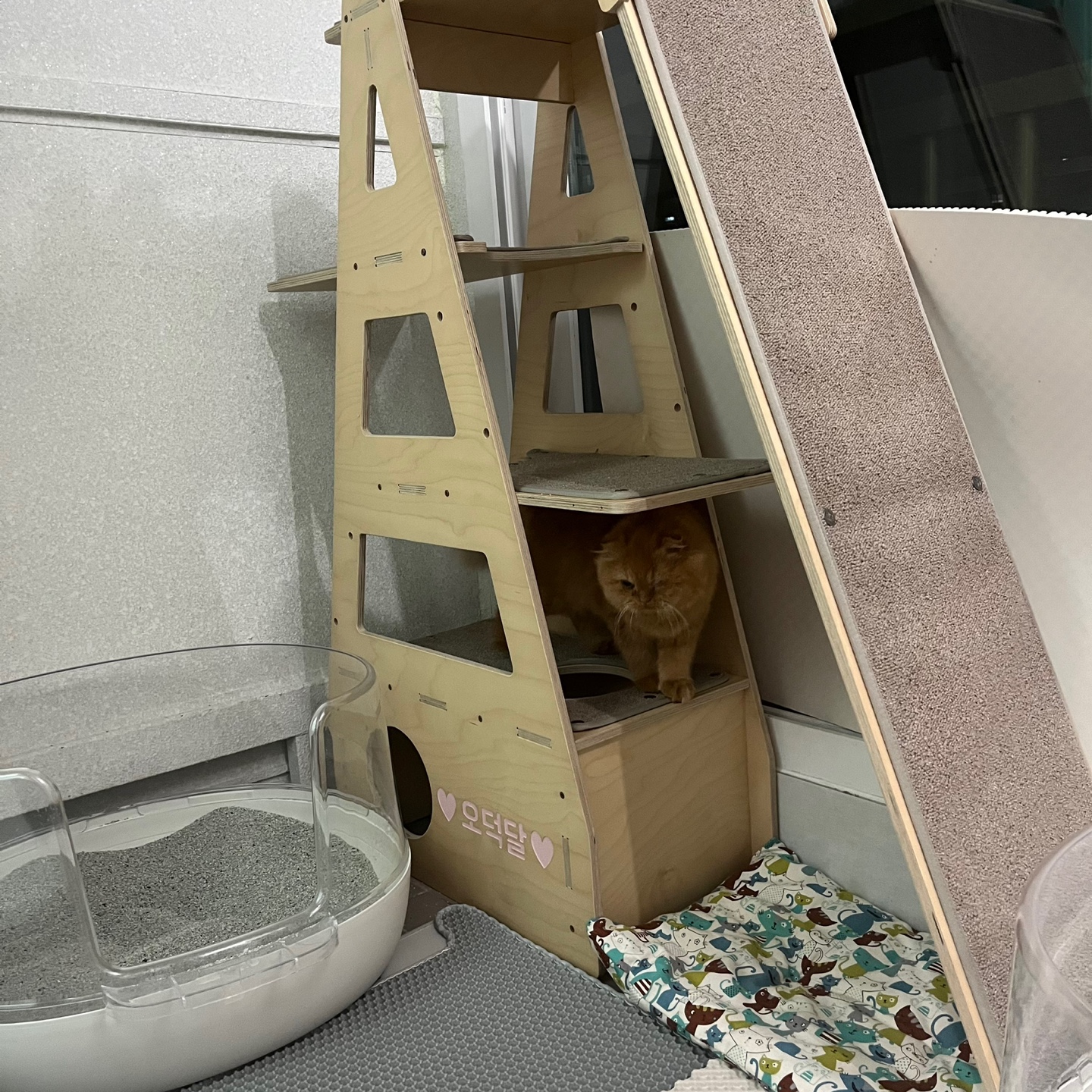 돌고 '도라' 온 만큼 잘 살구같아♡♥♡♥♡♥♡♥-2-