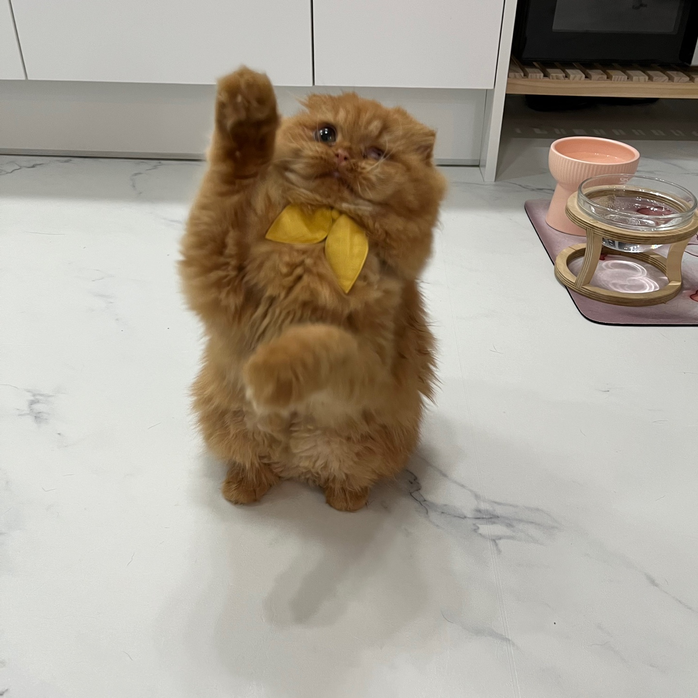 돌고 '도라' 온 만큼 잘 살구같아♡♥♡♥♡♥♡♥-2-