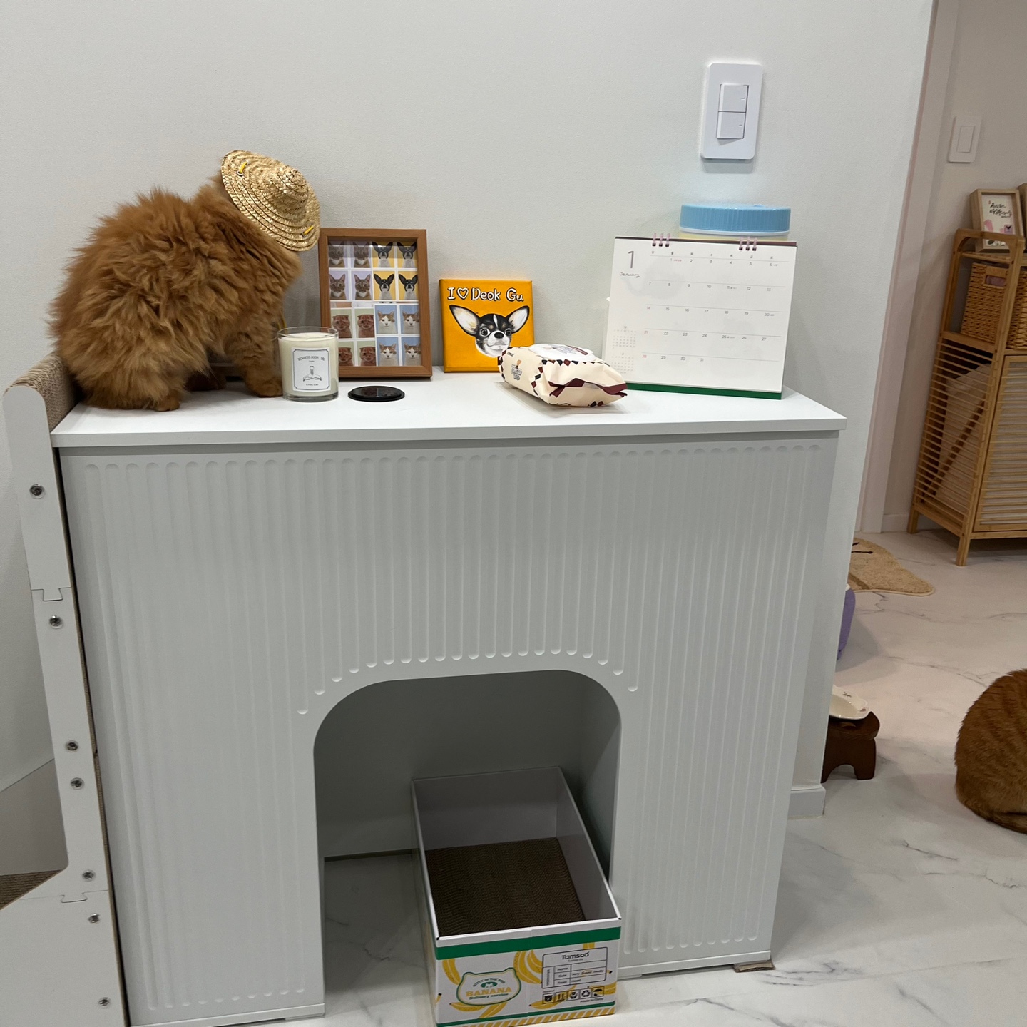 돌고 '도라' 온 만큼 잘 살구같아♡♥♡♥♡♥♡♥-2-