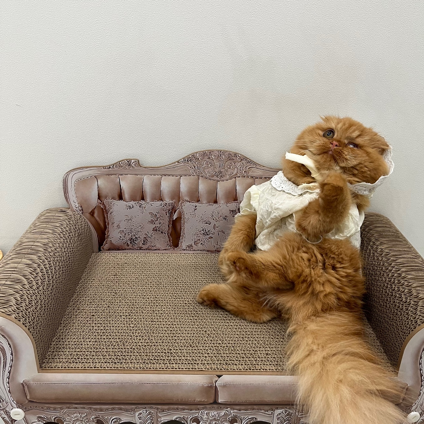 돌고 '도라' 온 만큼 잘 살구같아♡♥♡♥♡♥♡♥-2-