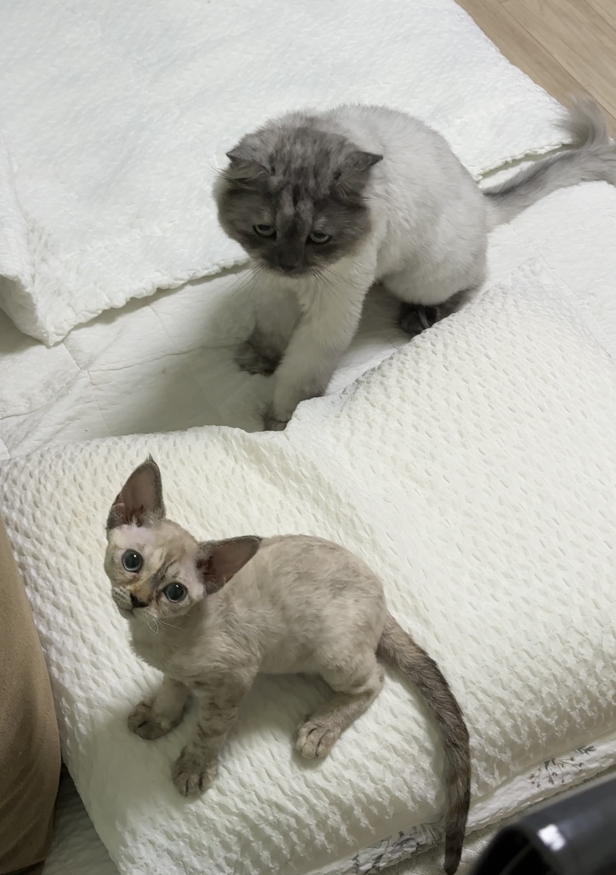 김새로(던회)와 함께한 일주일차