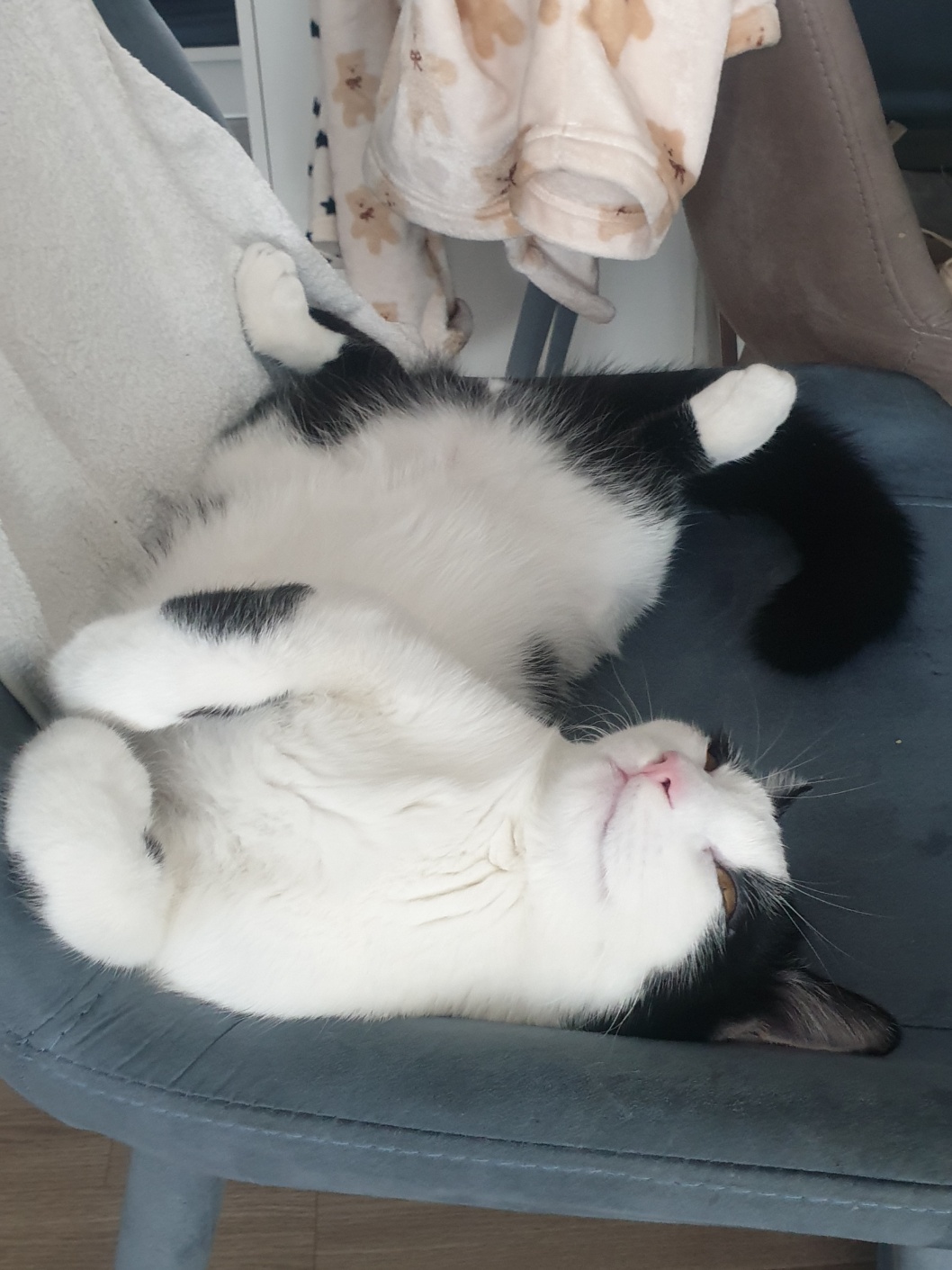 우주 입양 1개월 소식 전합니다.