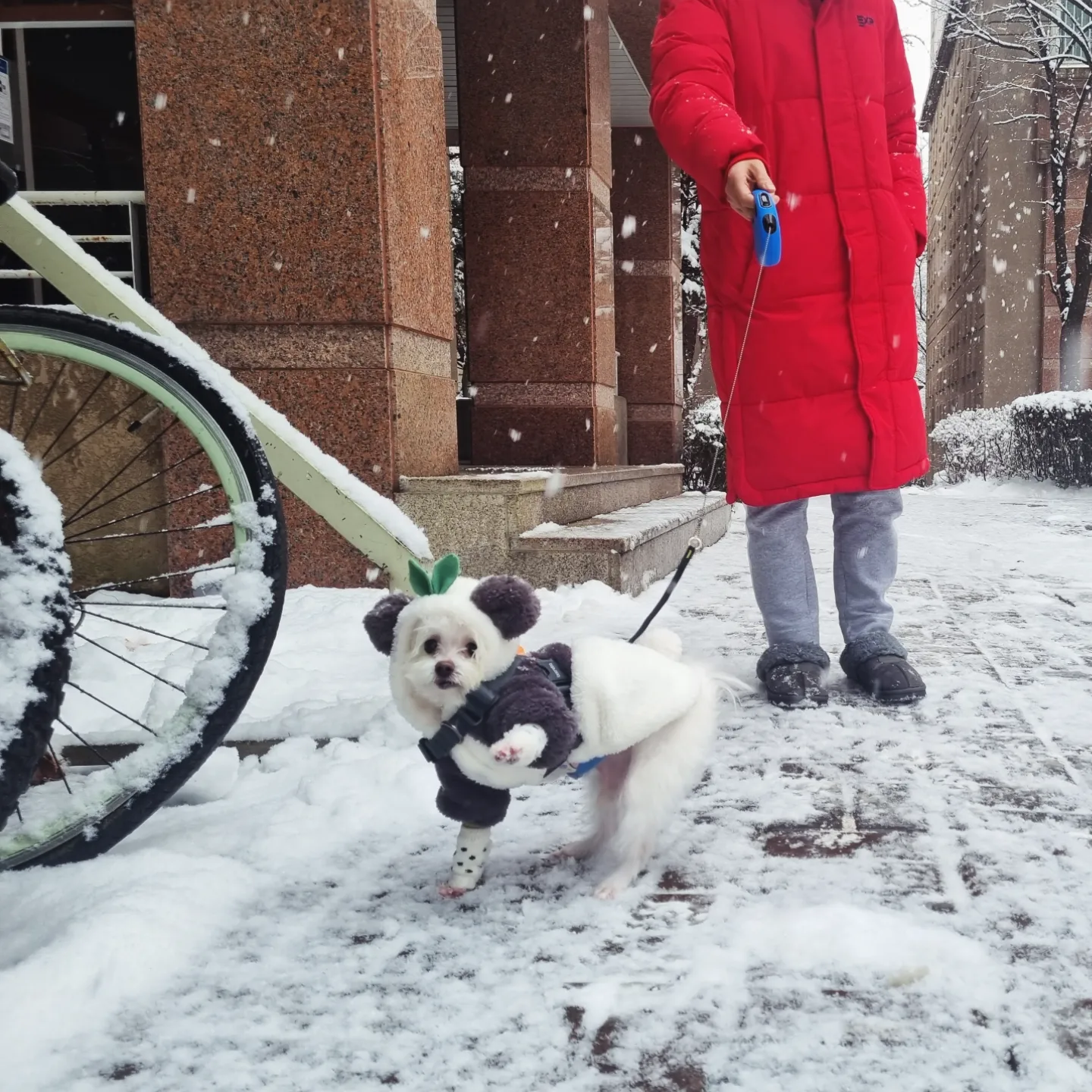 꾸미(익준이)와 눈나의 겨울 이야기